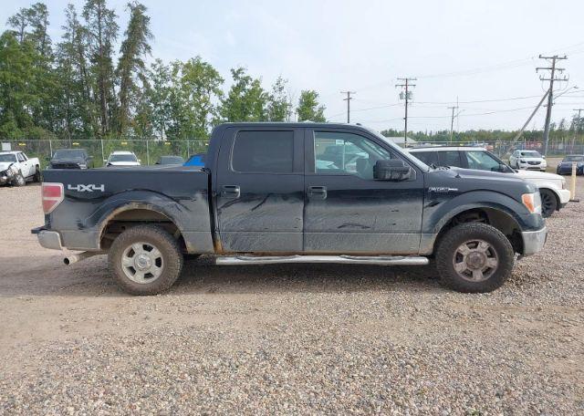 2013 FORD F150 SUPERCREW