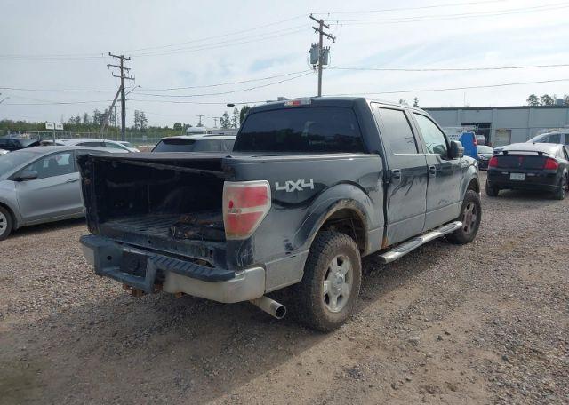 2013 FORD F150 SUPERCREW