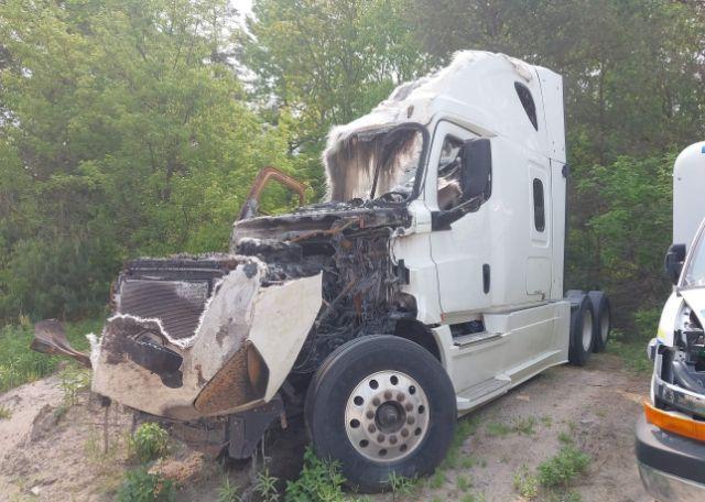 2020 FREIGHTLINER NEW CASCADIA 126