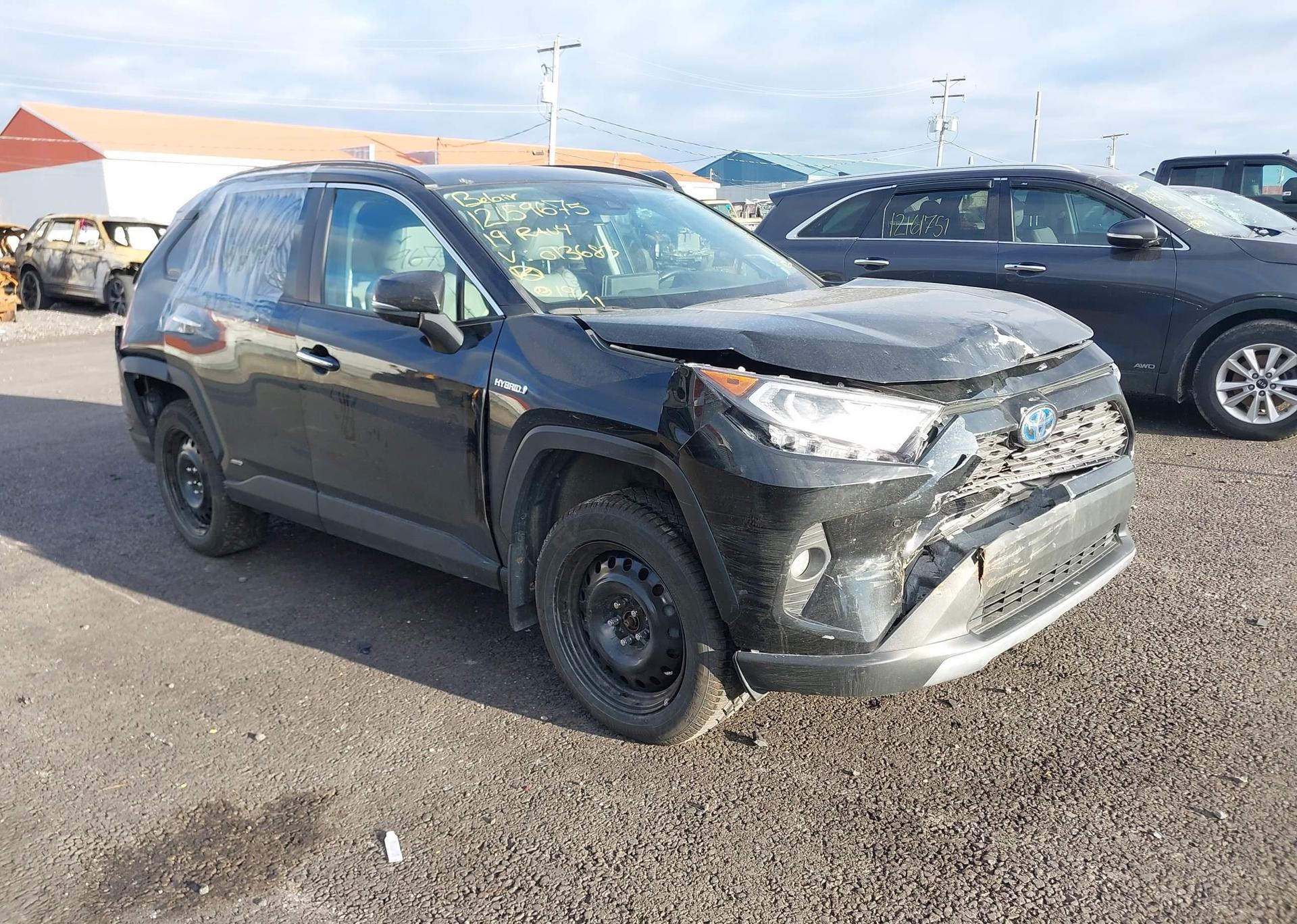 2019 TOYOTA RAV4