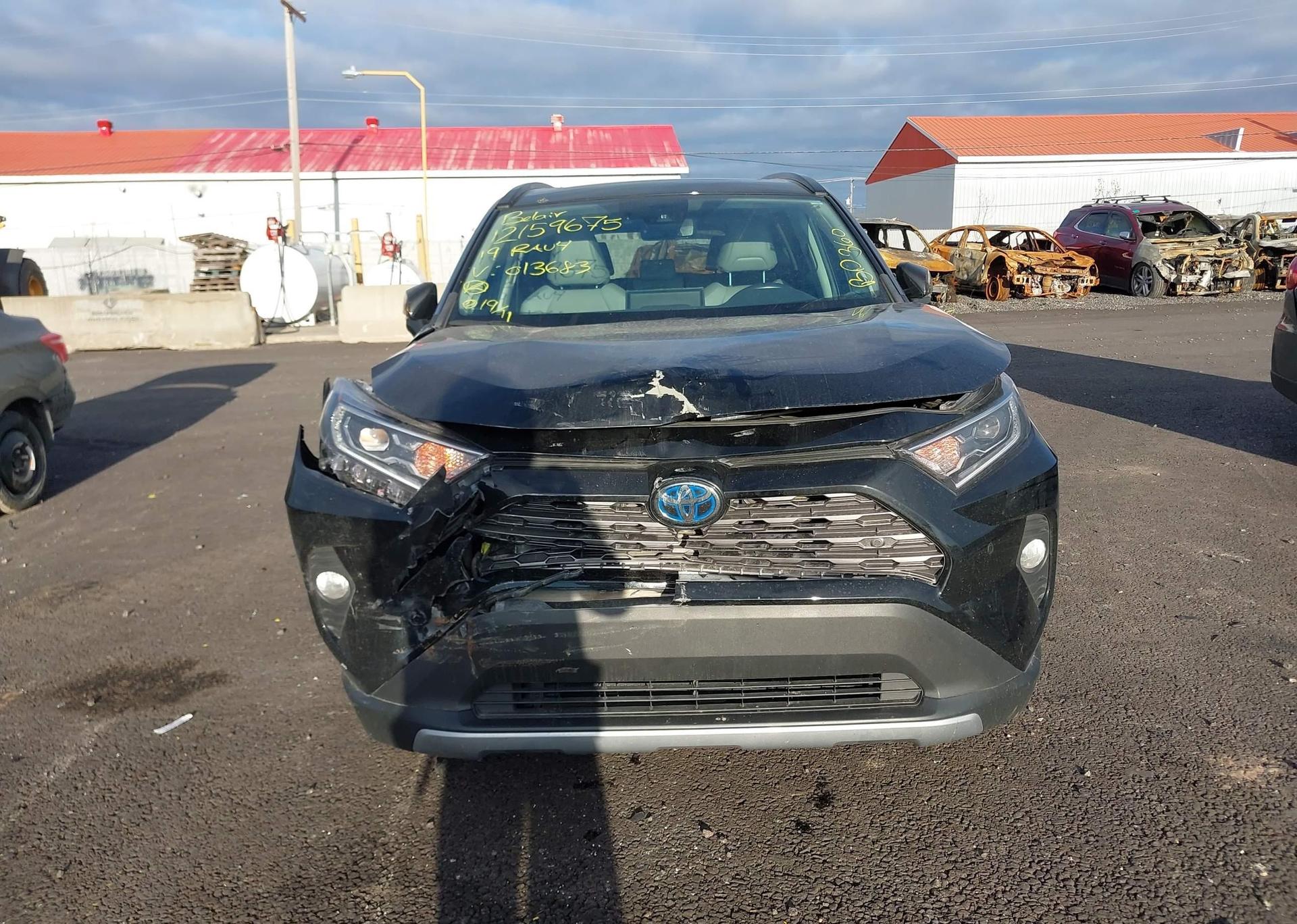 2019 TOYOTA RAV4