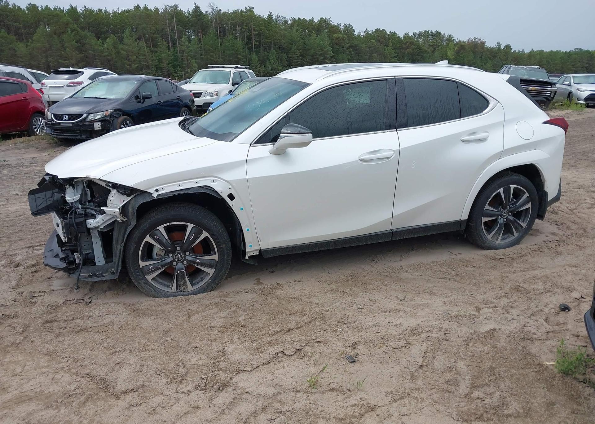 2025 LEXUS UX 300H