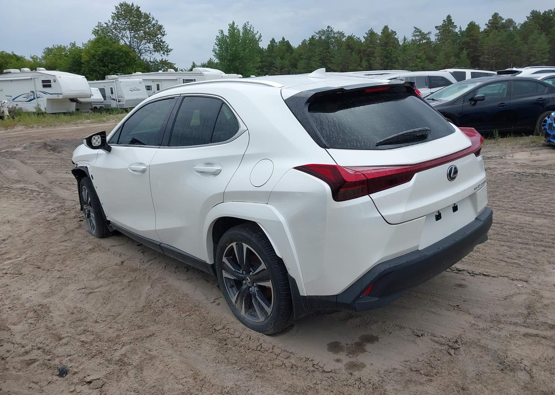 2025 LEXUS UX 300H