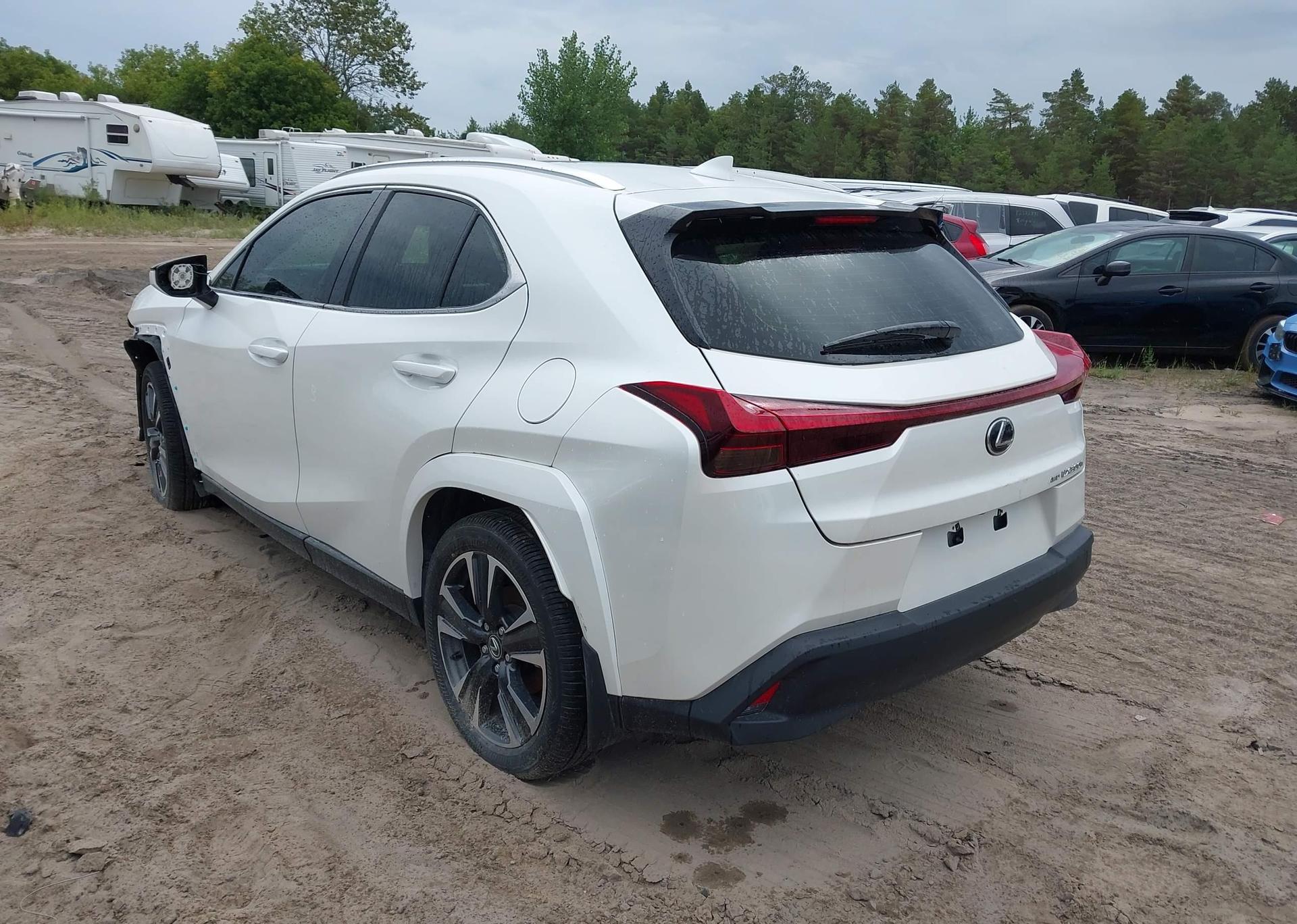 2025 LEXUS UX 300H