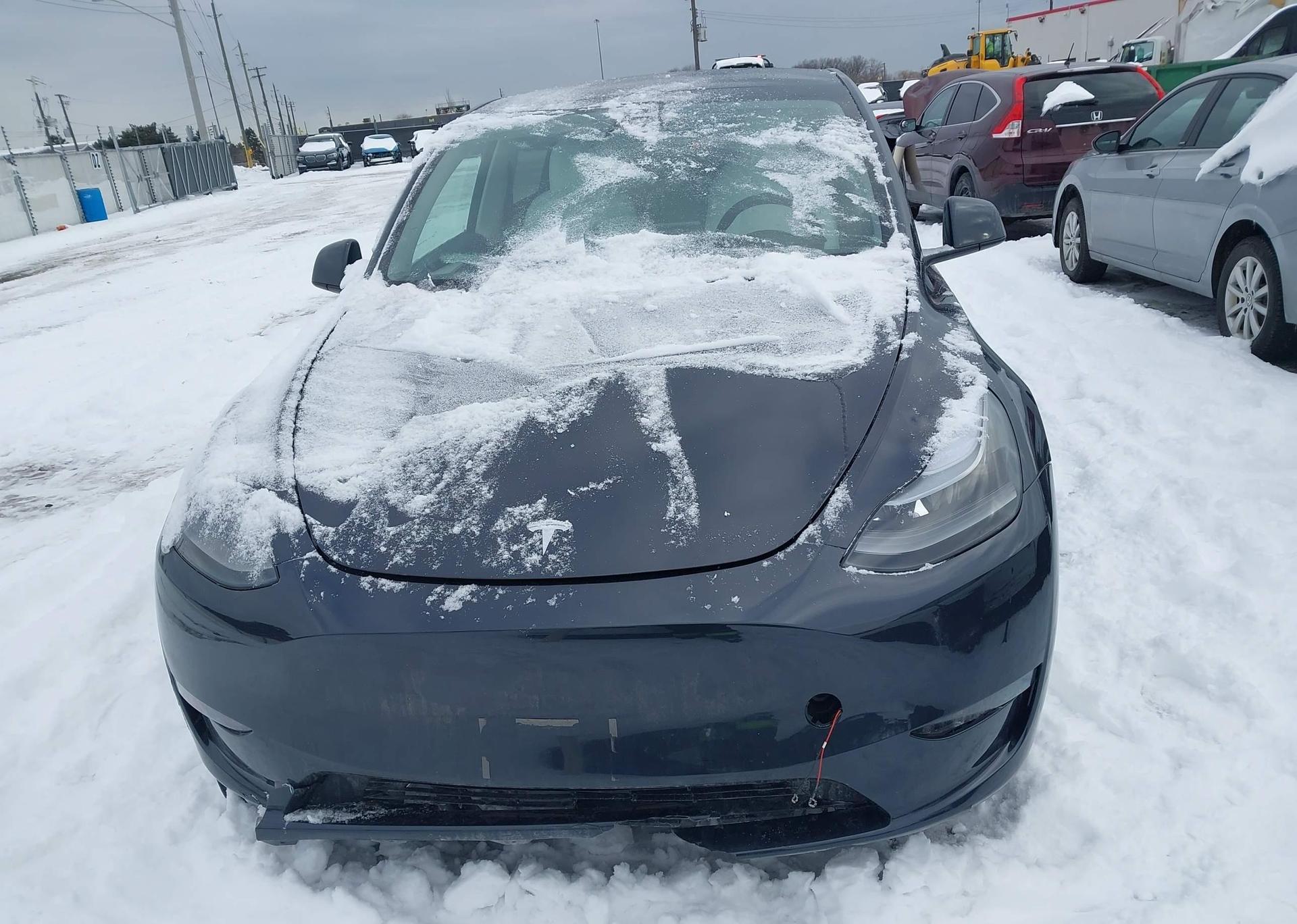 2024 TESLA MODEL Y