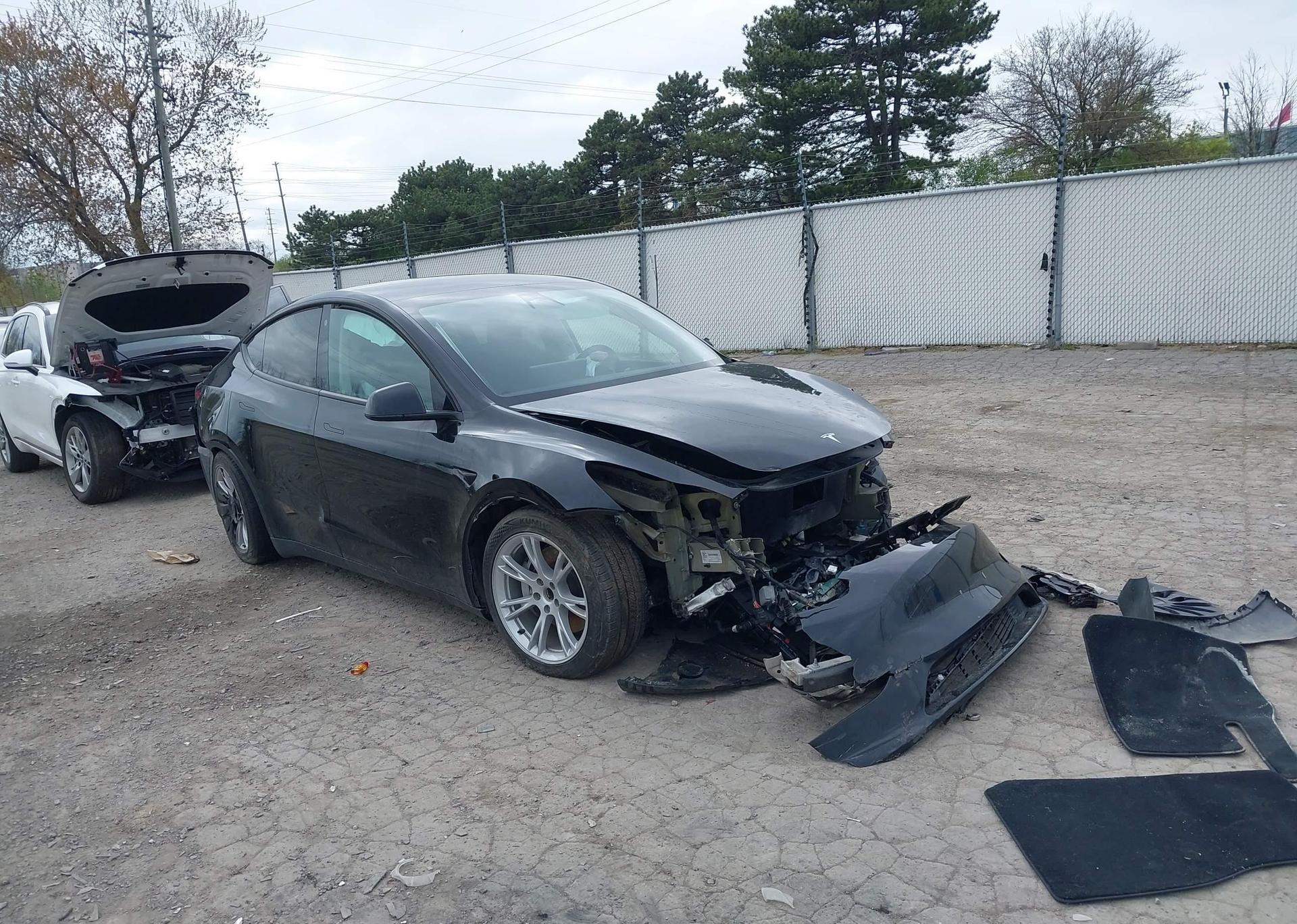 2023 TESLA MODEL Y RWD