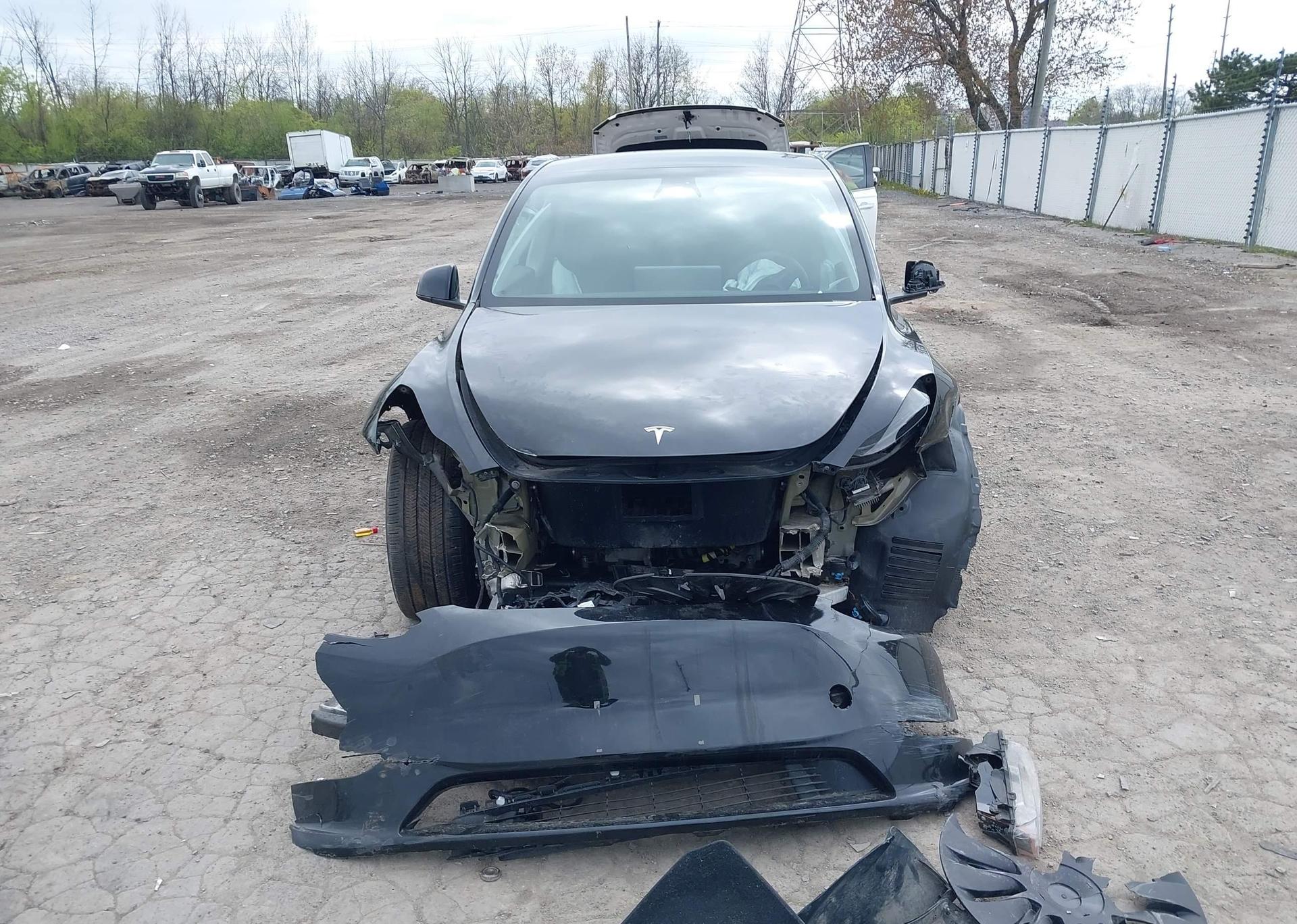 2023 TESLA MODEL Y RWD