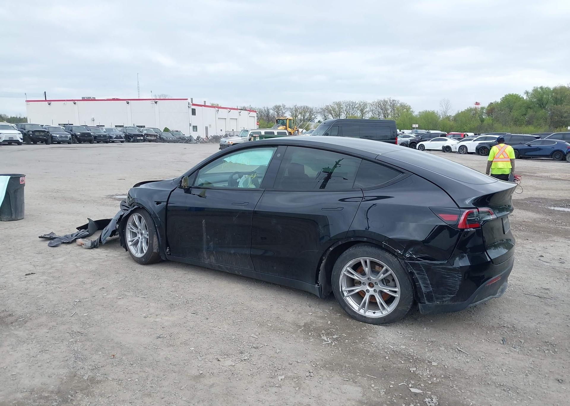 2023 TESLA MODEL Y RWD