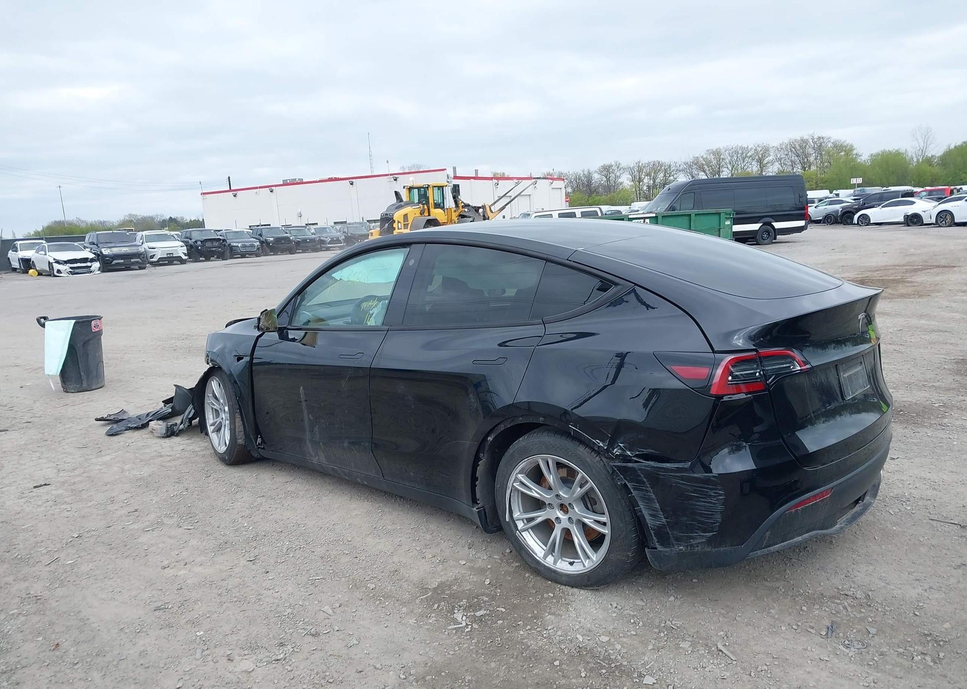 2023 TESLA MODEL Y RWD