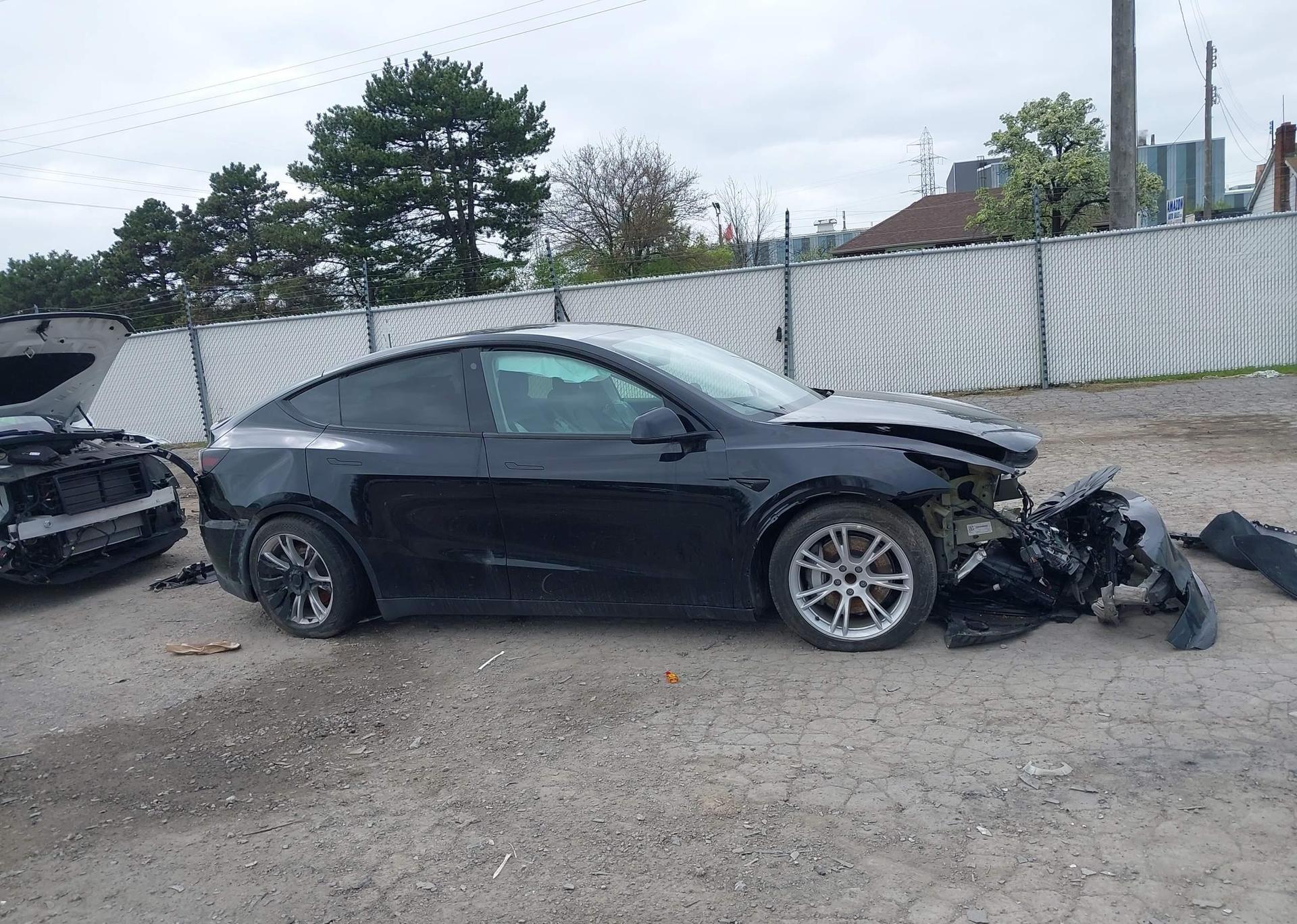 2023 TESLA MODEL Y RWD