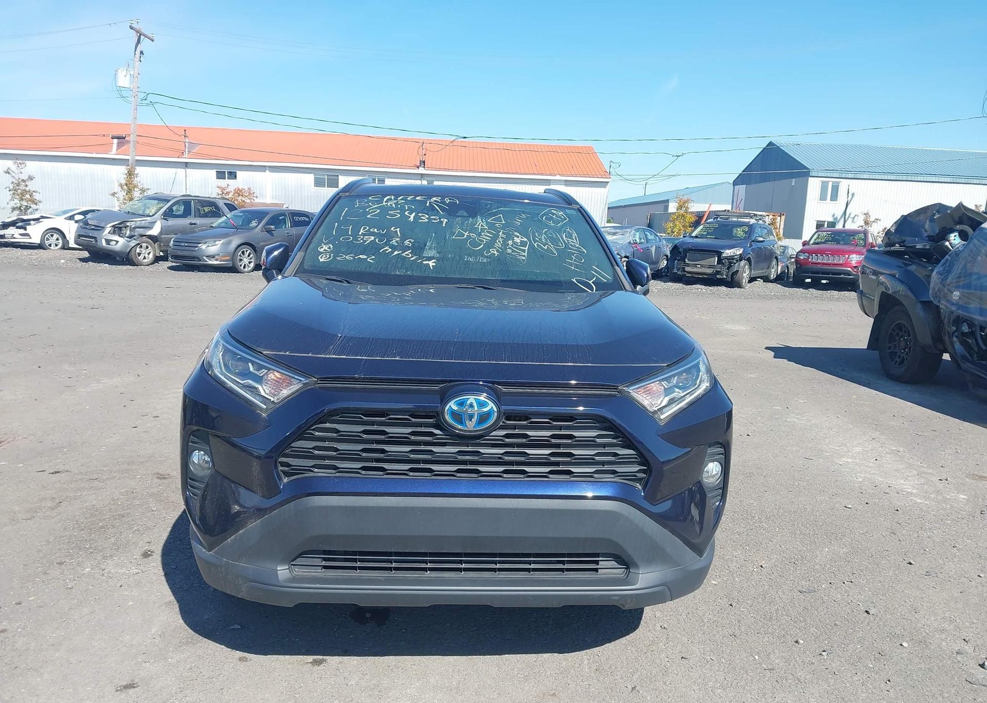 2019 TOYOTA RAV4