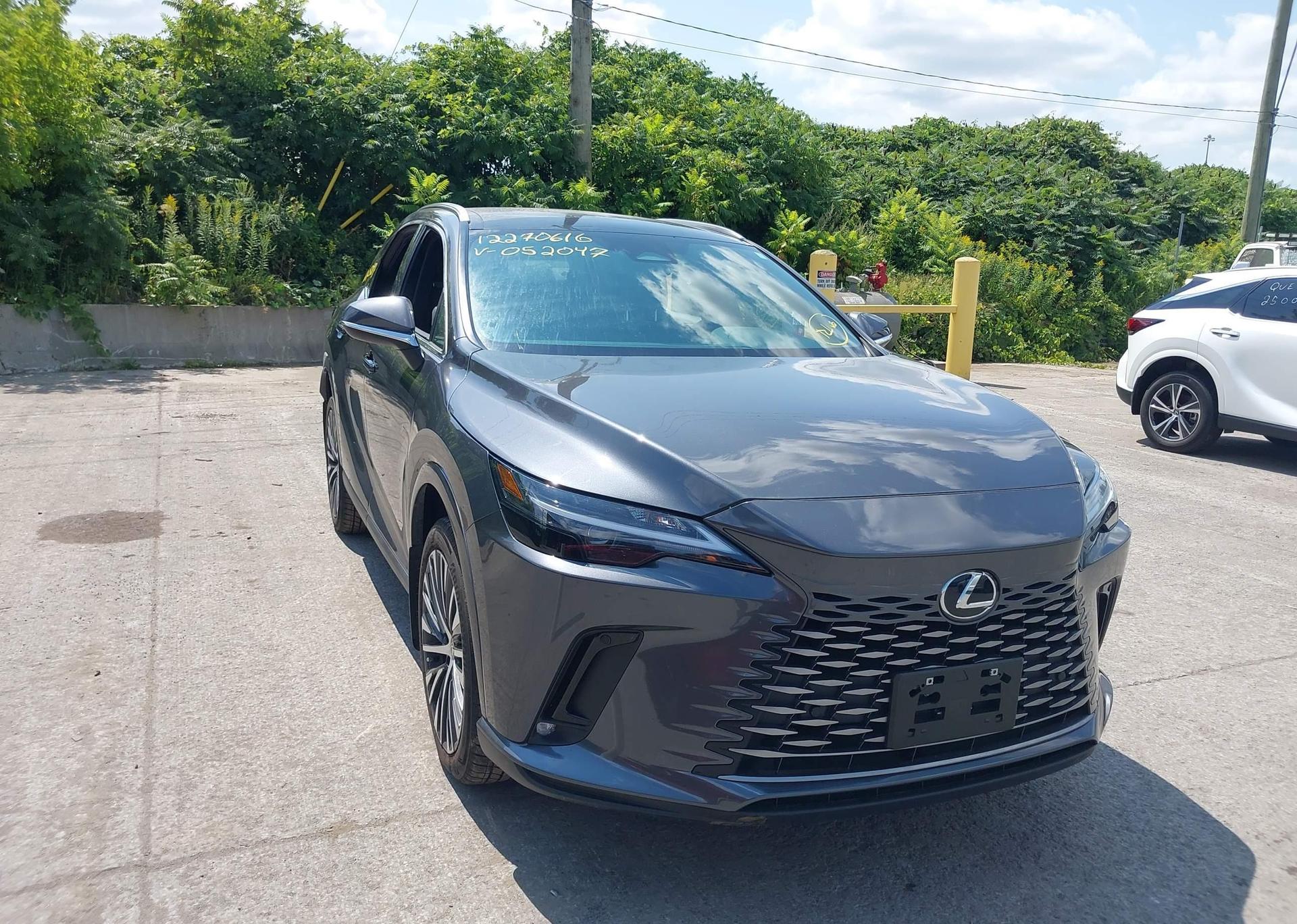 2024 LEXUS RX 350