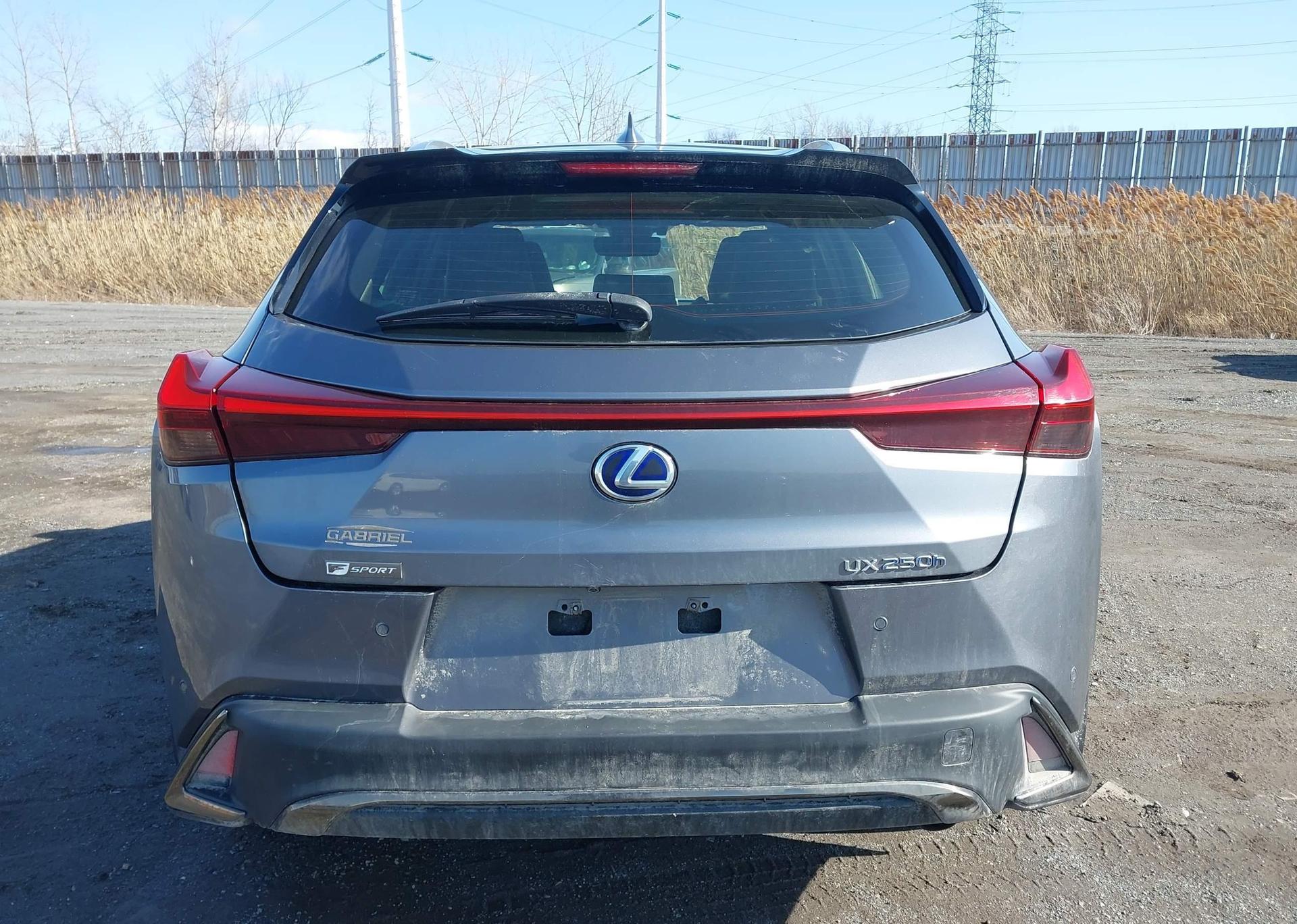 2020 LEXUS UX 250H