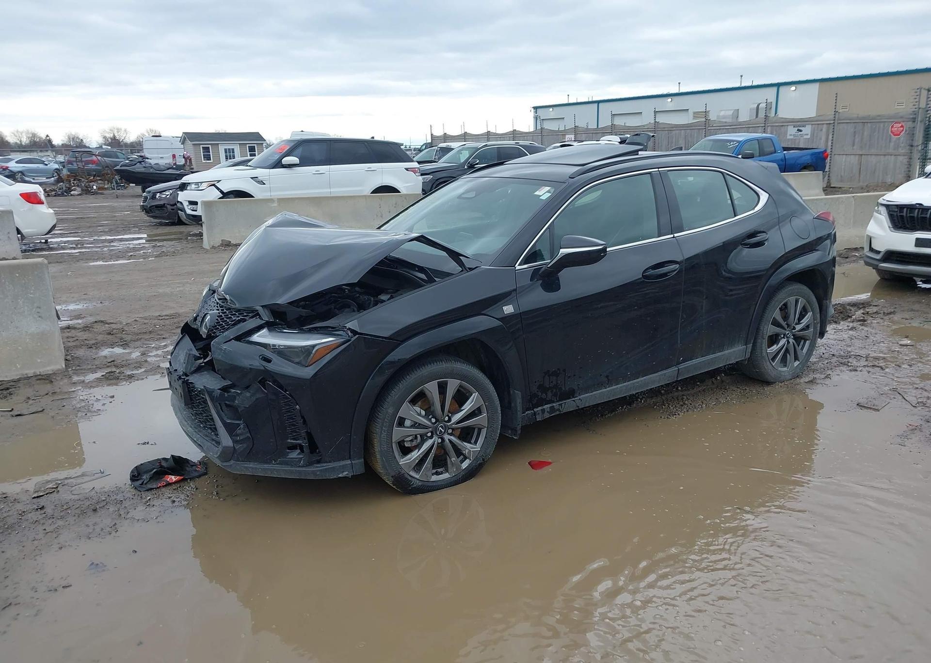 2025 LEXUS UX