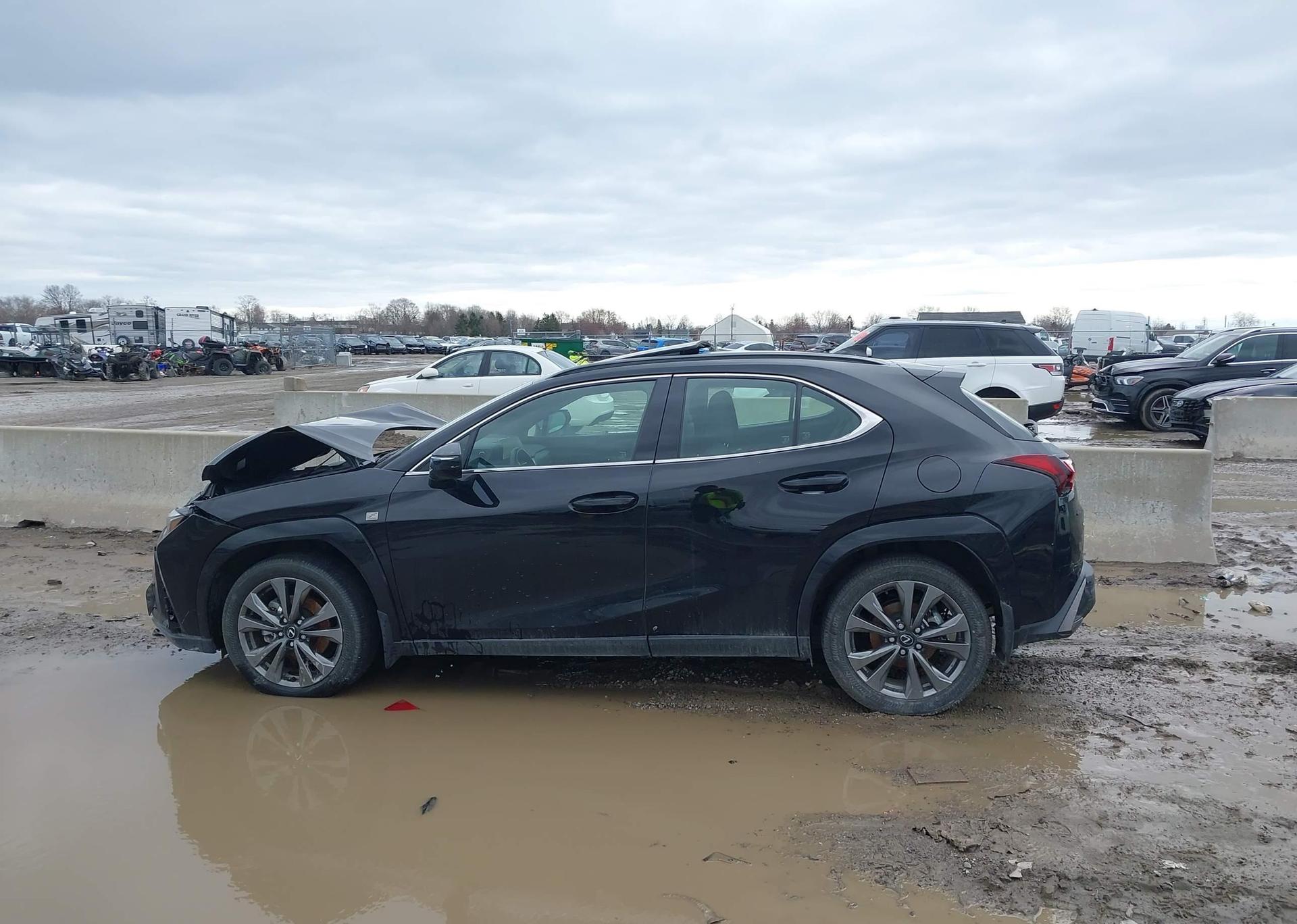 2025 LEXUS UX