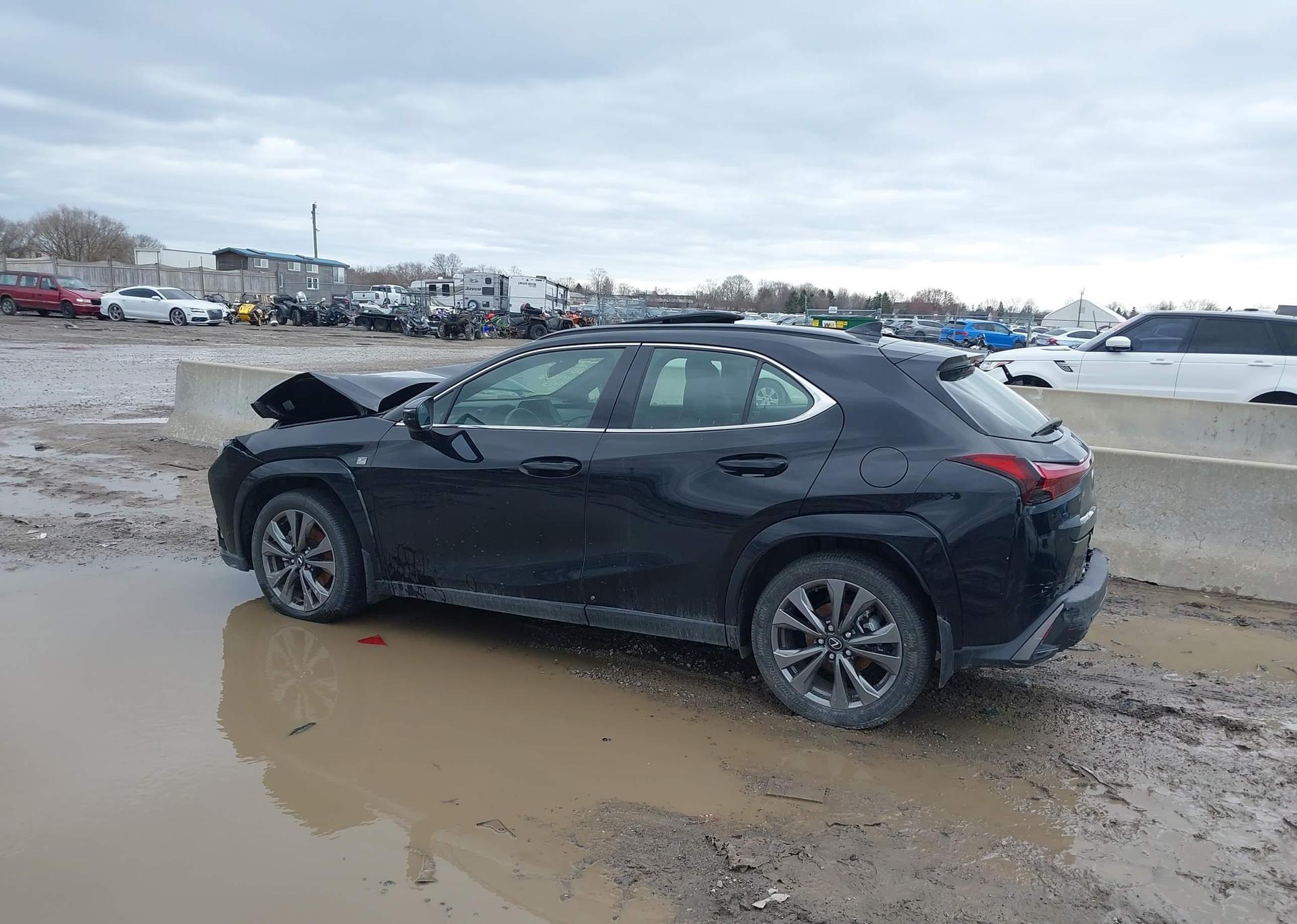 2025 LEXUS UX