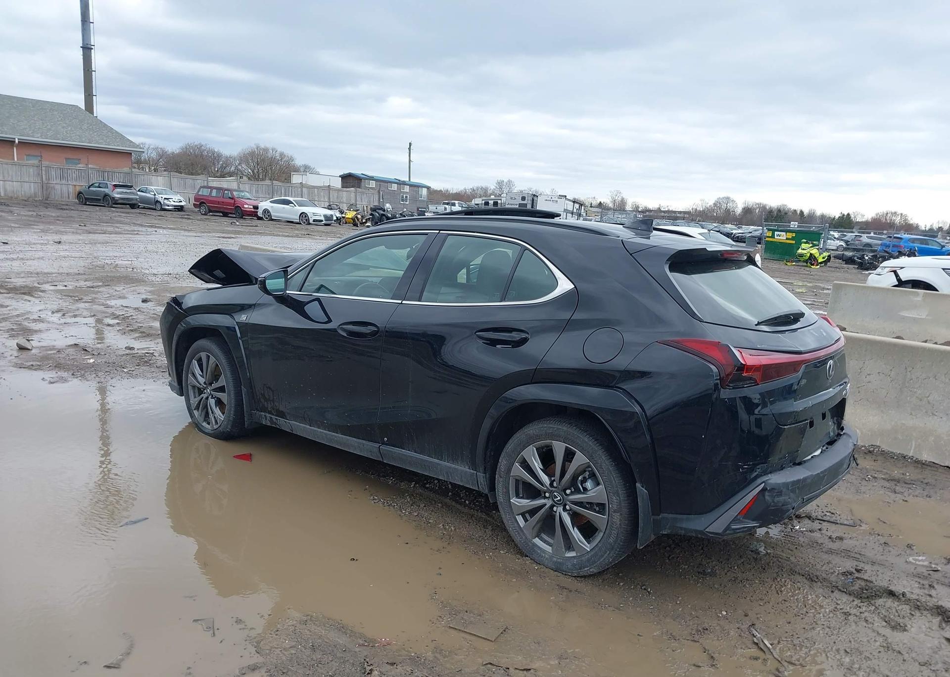 2025 LEXUS UX
