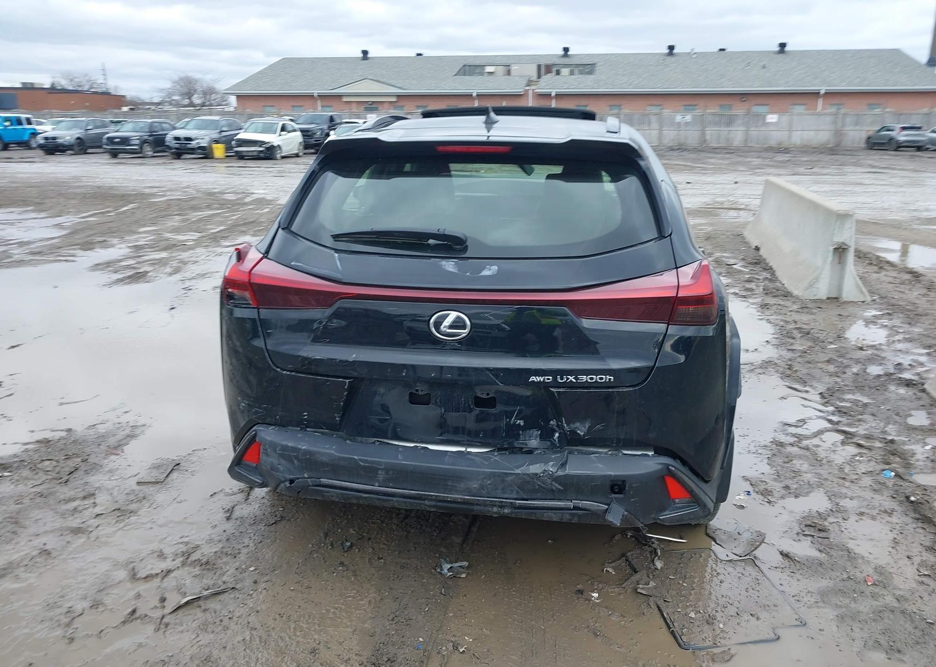2025 LEXUS UX