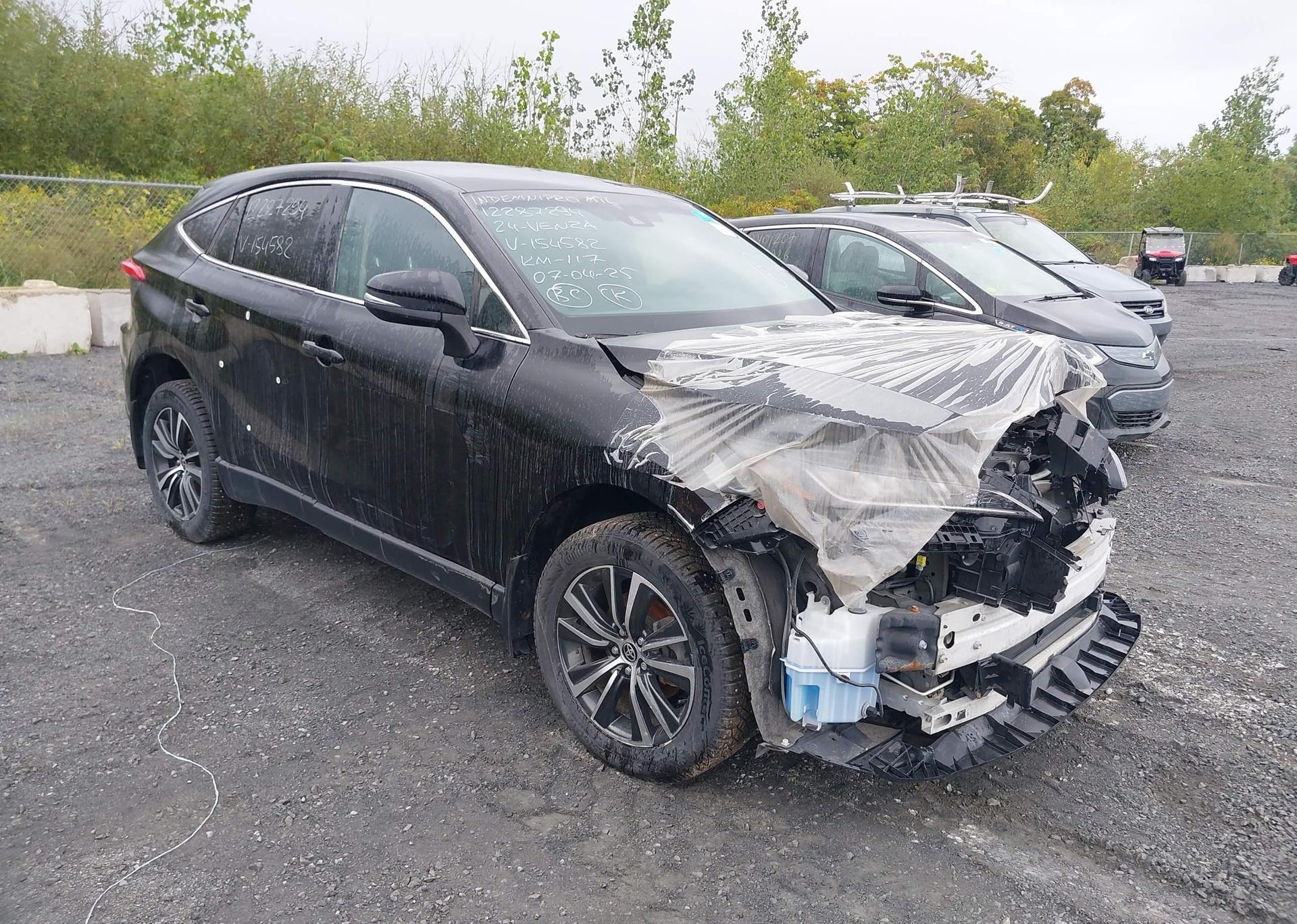 2024 TOYOTA VENZA LE