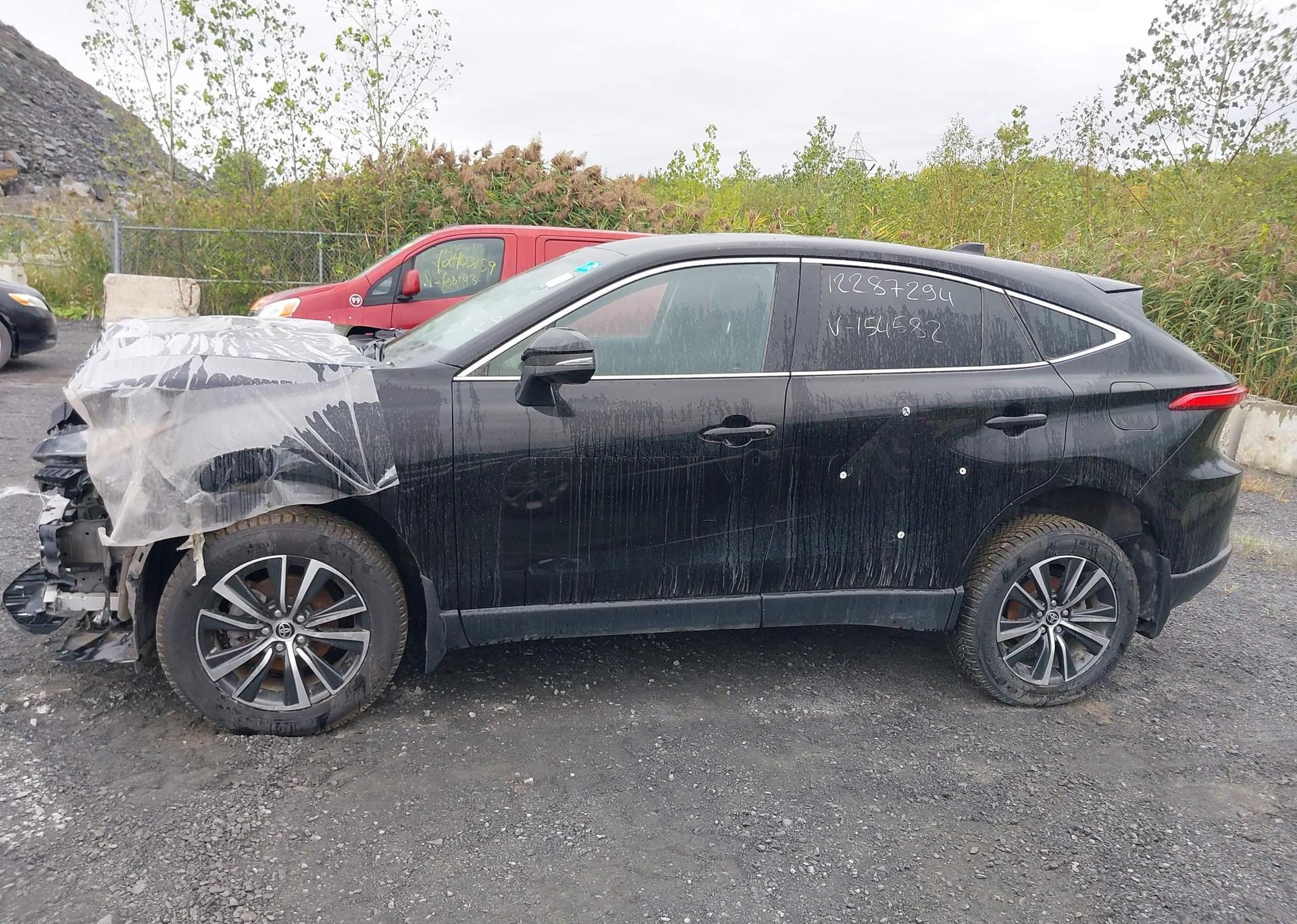 2024 TOYOTA VENZA LE