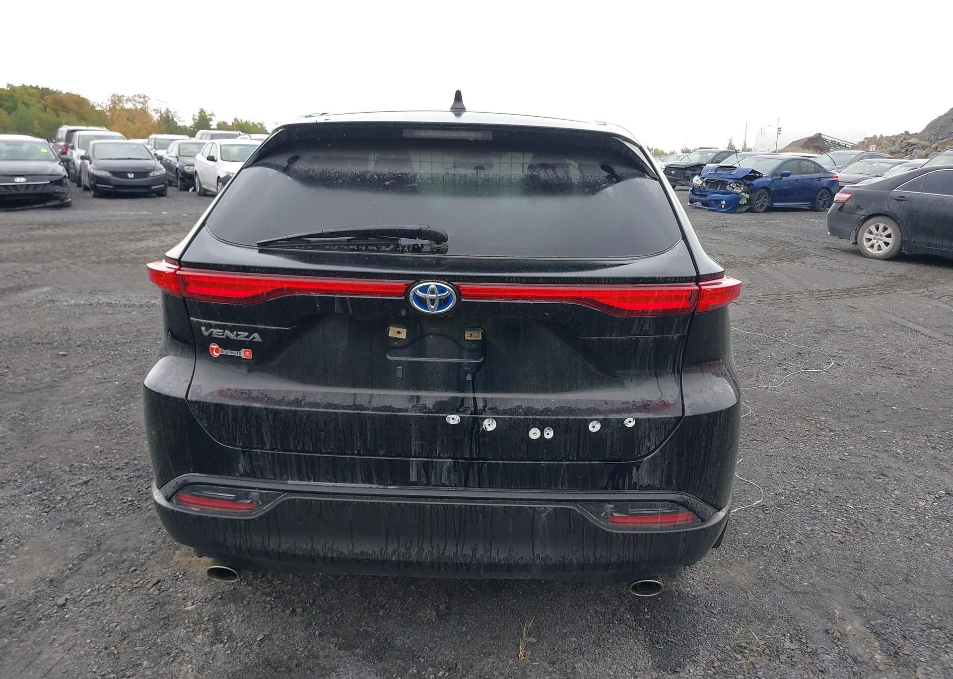 2024 TOYOTA VENZA LE