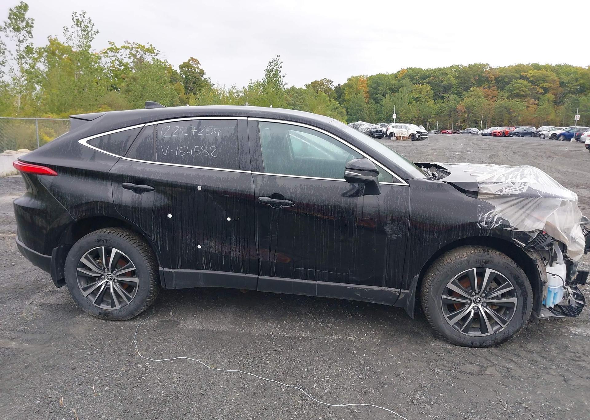 2024 TOYOTA VENZA LE