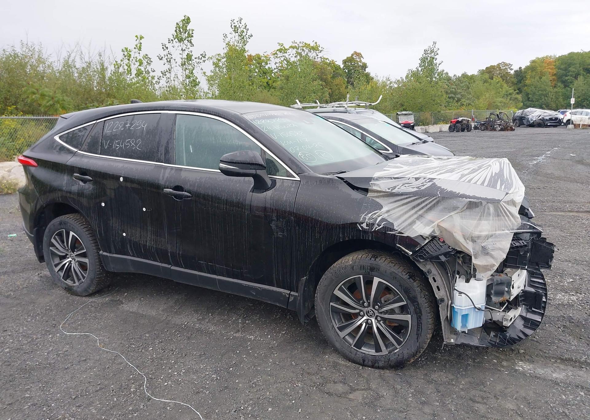 2024 TOYOTA VENZA LE