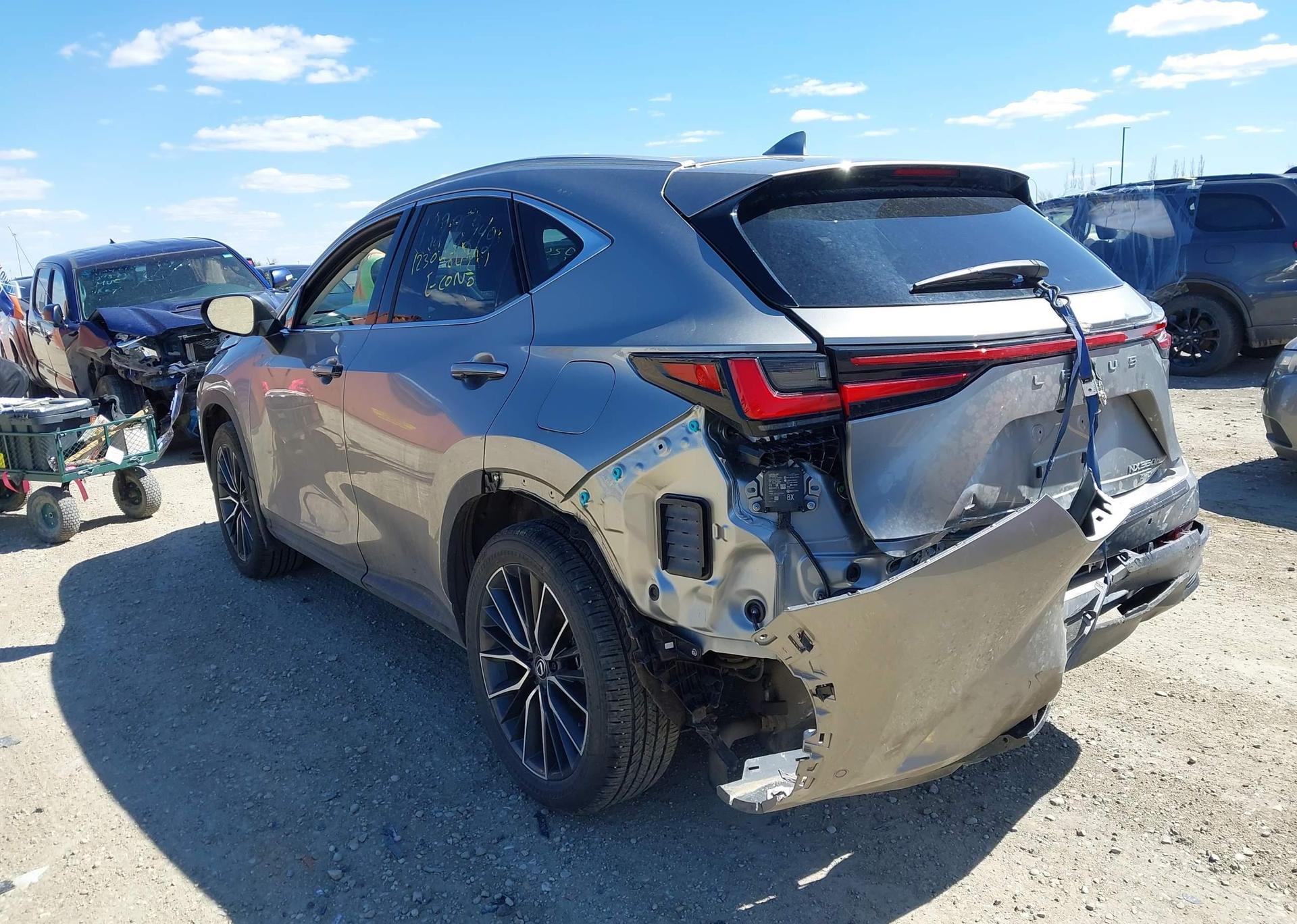 2024 LEXUS NX 350H