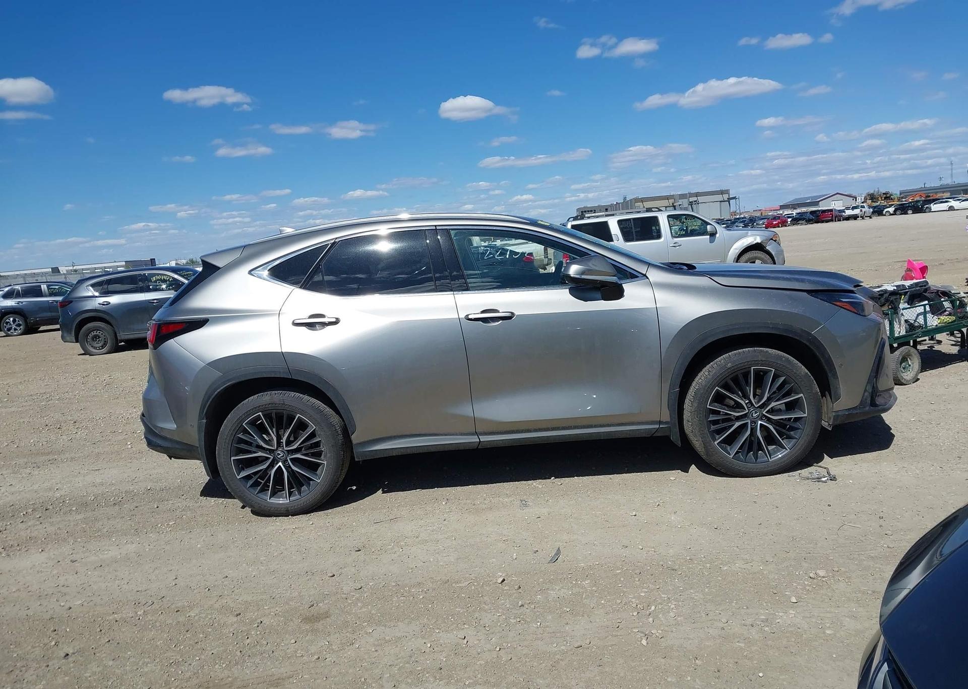 2024 LEXUS NX 350H