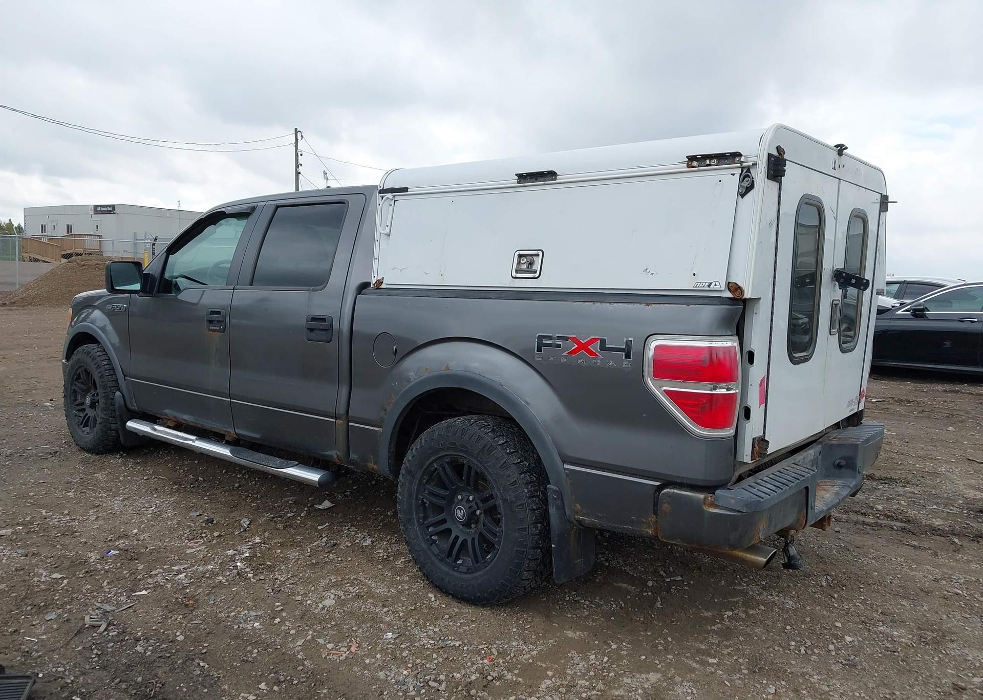 2009 FORD F-150 FX4