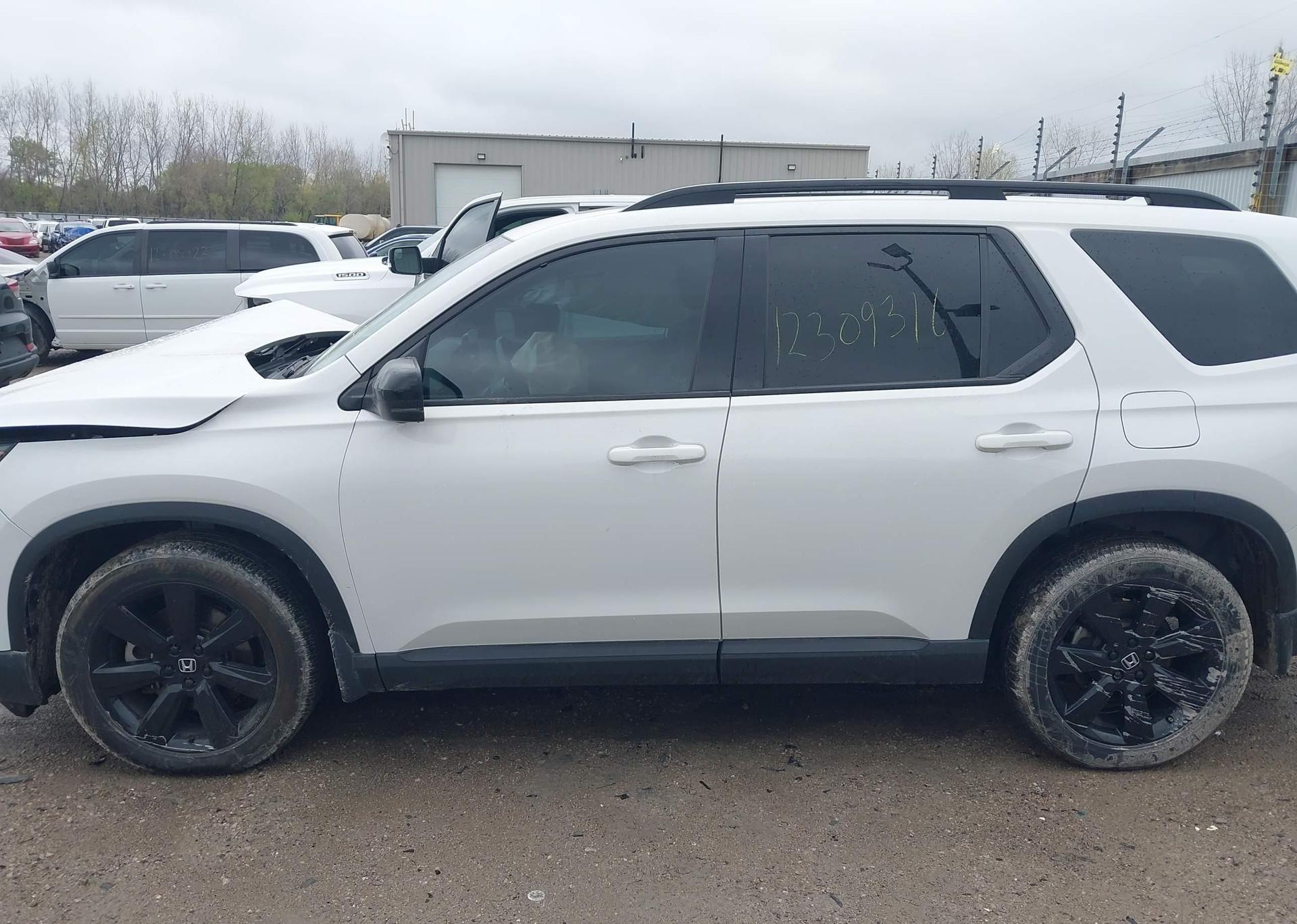 2023 HONDA PILOT BLACK EDITION