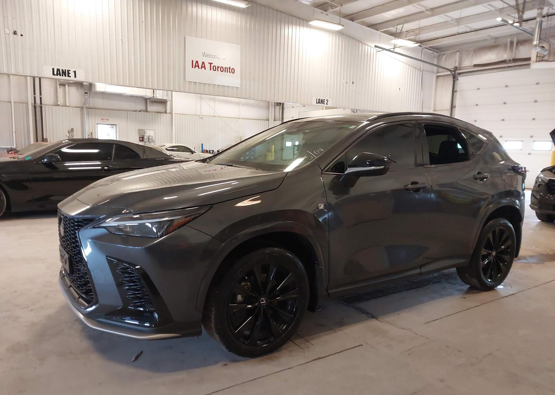 2024 LEXUS NX 350
