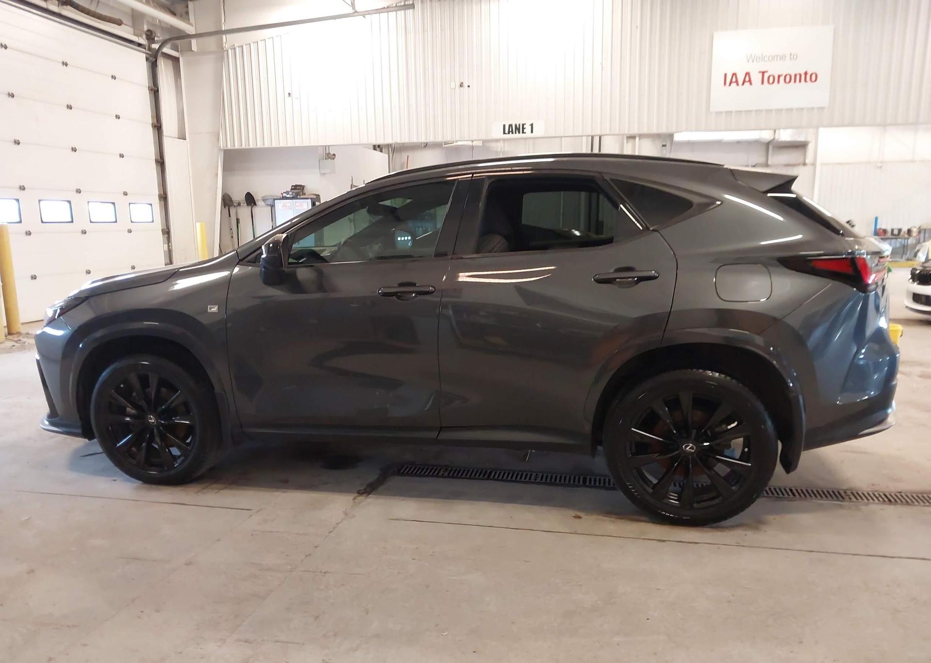 2024 LEXUS NX 350