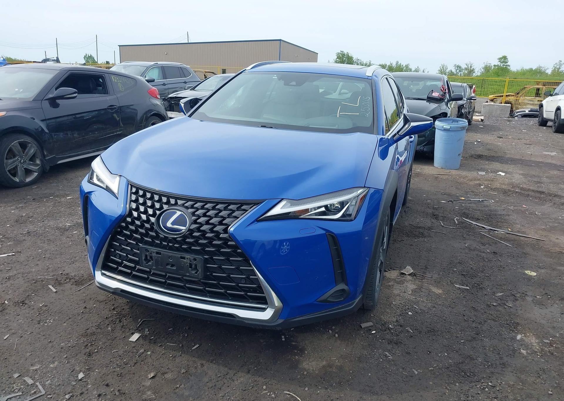 2019 LEXUS UX 250H