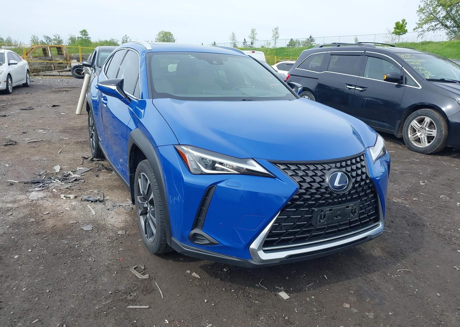 2019 LEXUS UX 250H