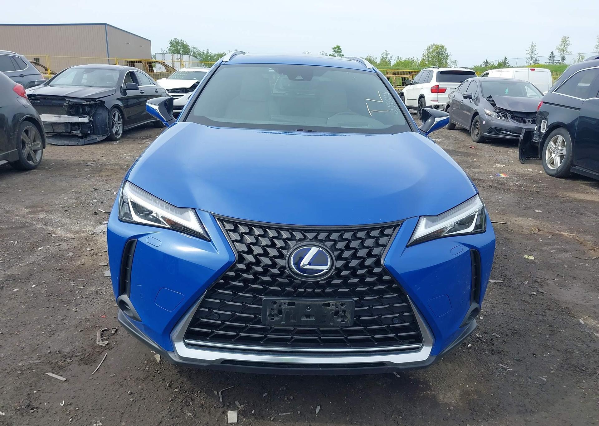 2019 LEXUS UX 250H