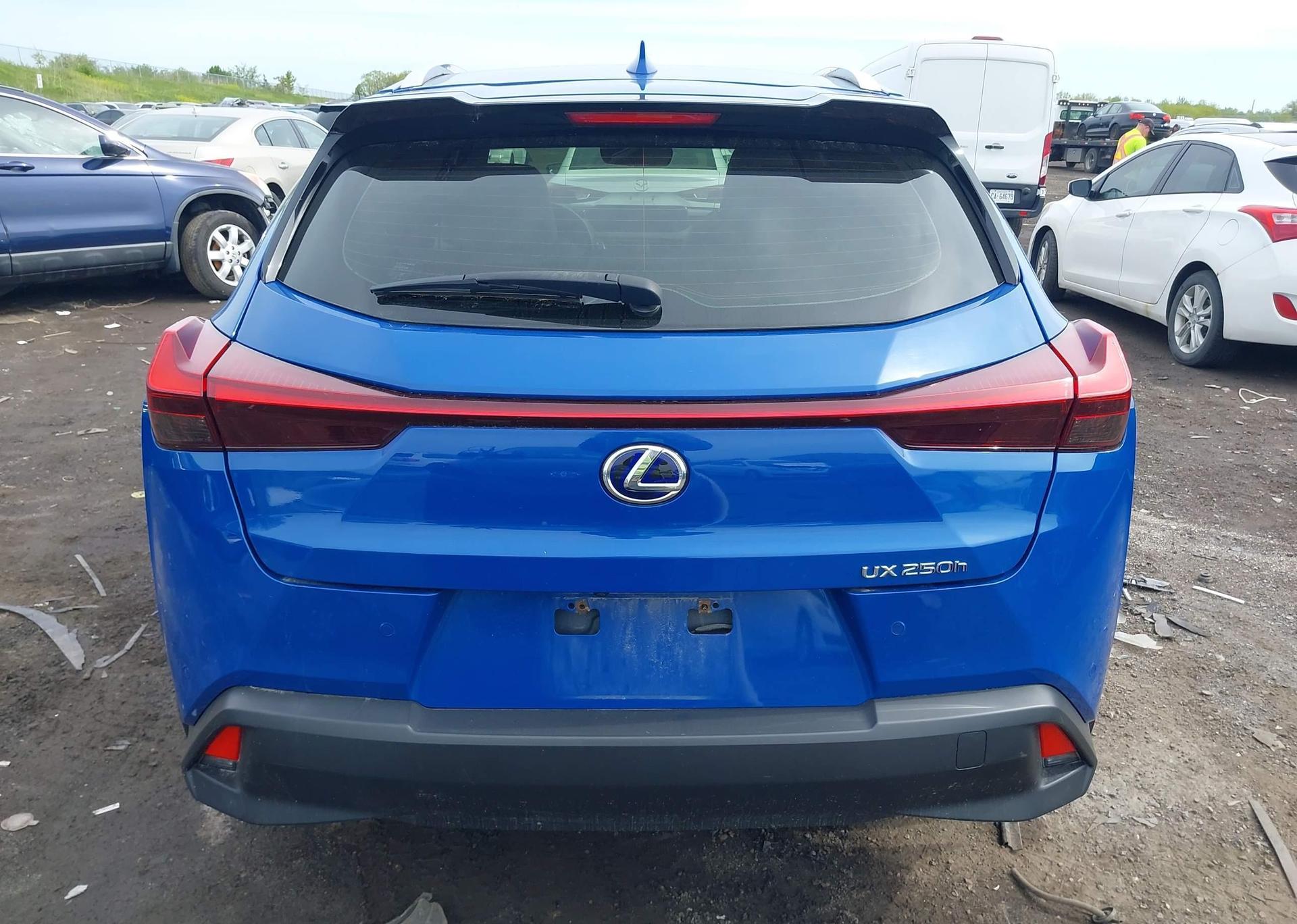 2019 LEXUS UX 250H