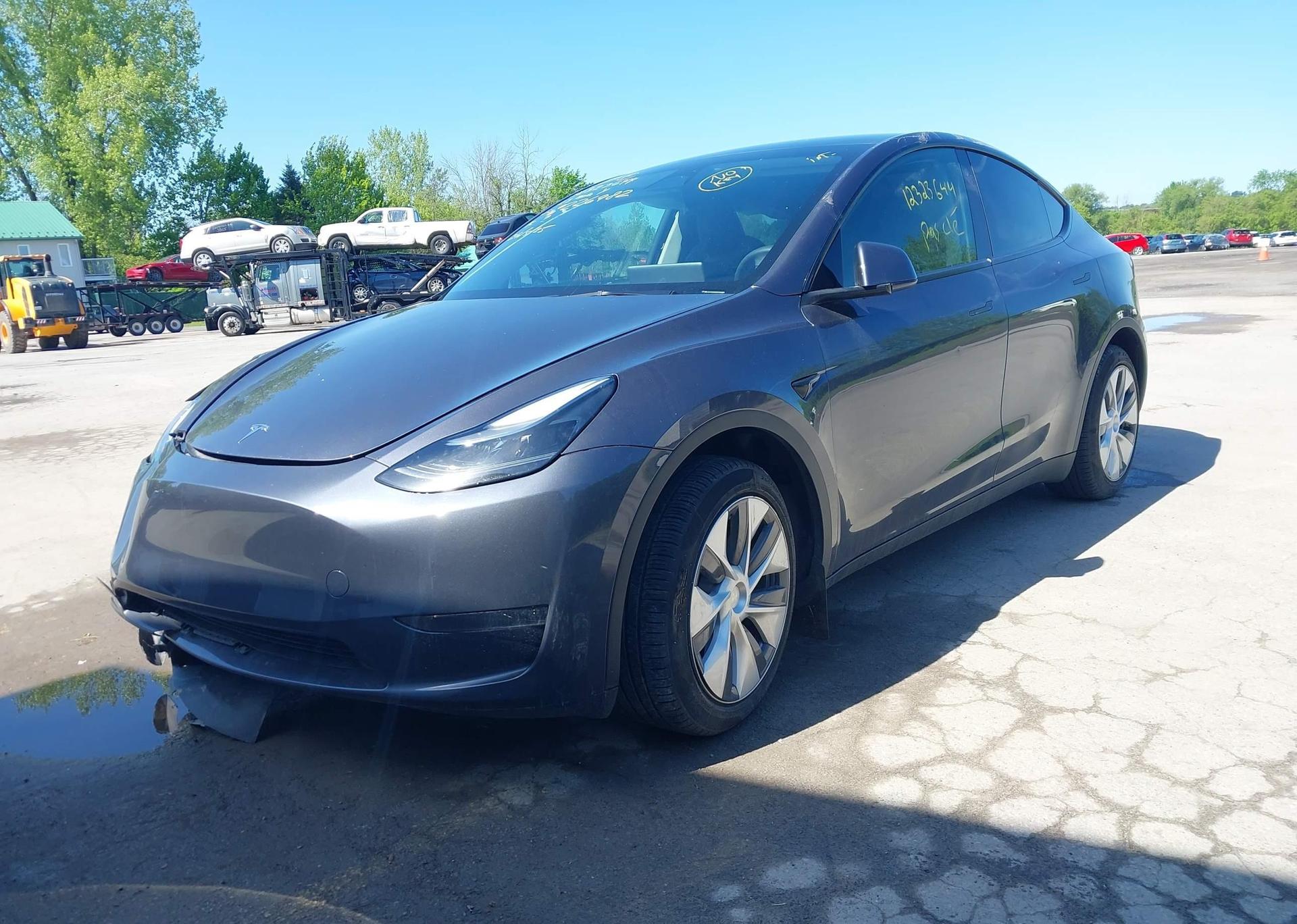 2023 TESLA MODEL Y RWD