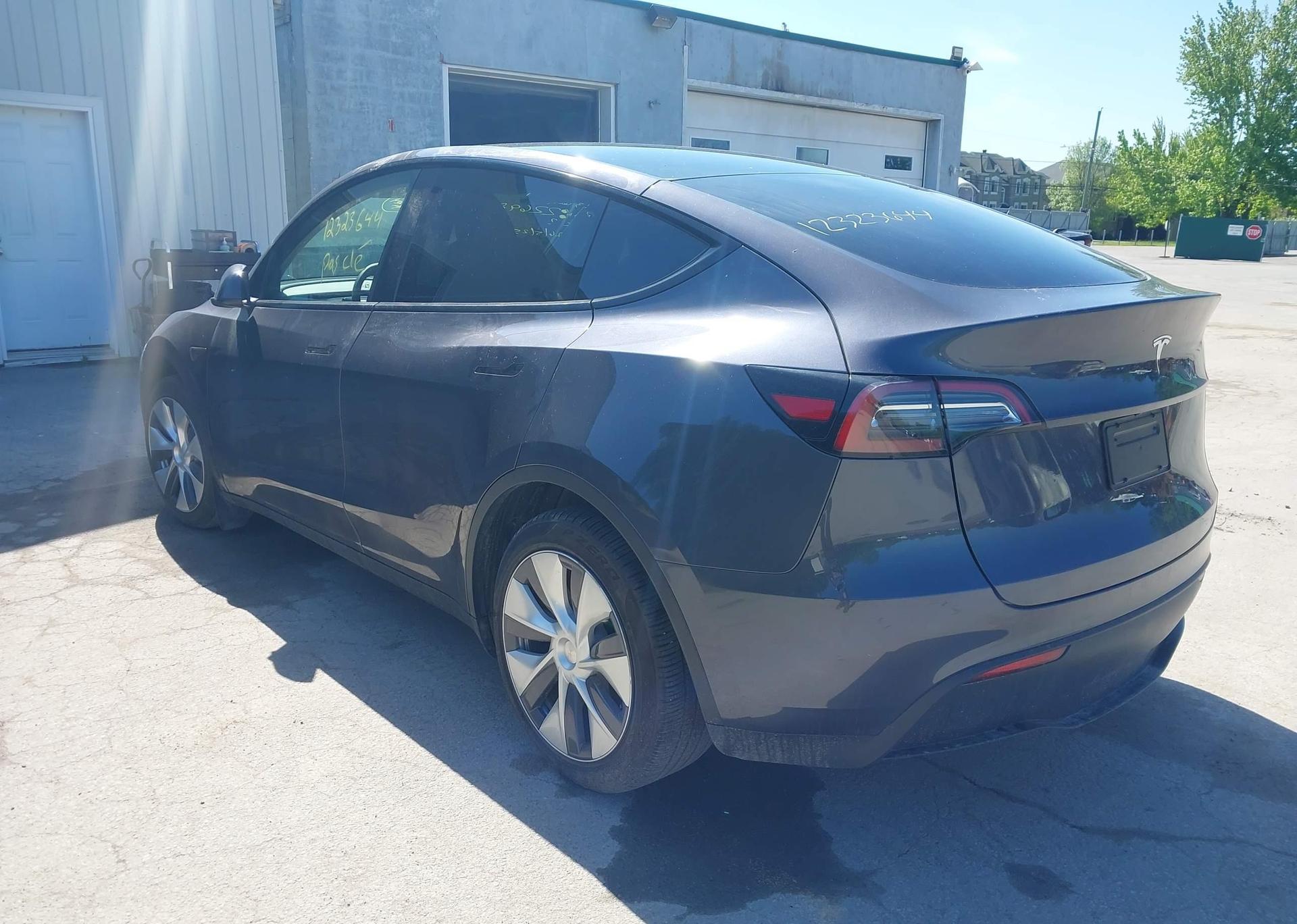 2023 TESLA MODEL Y RWD
