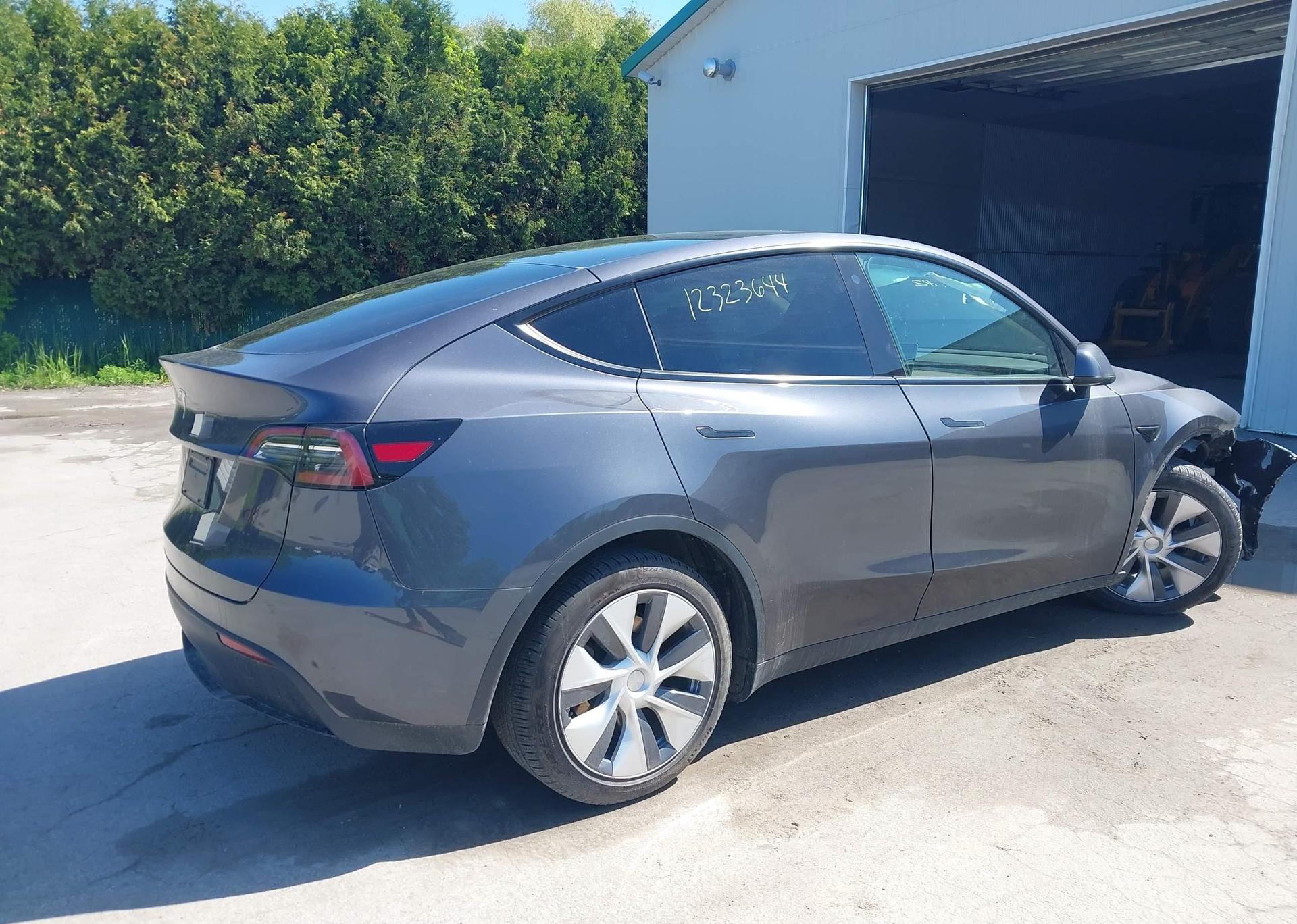 2023 TESLA MODEL Y RWD