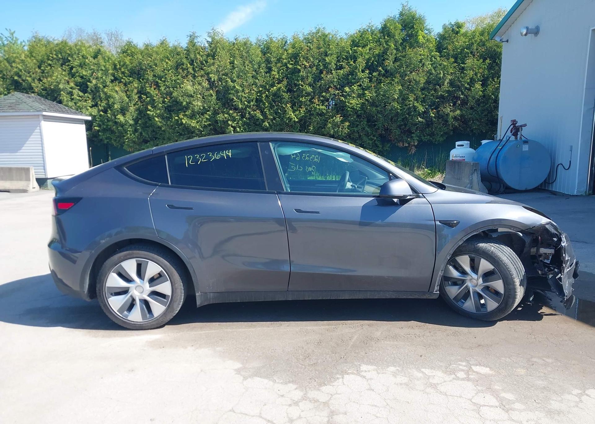 2023 TESLA MODEL Y RWD