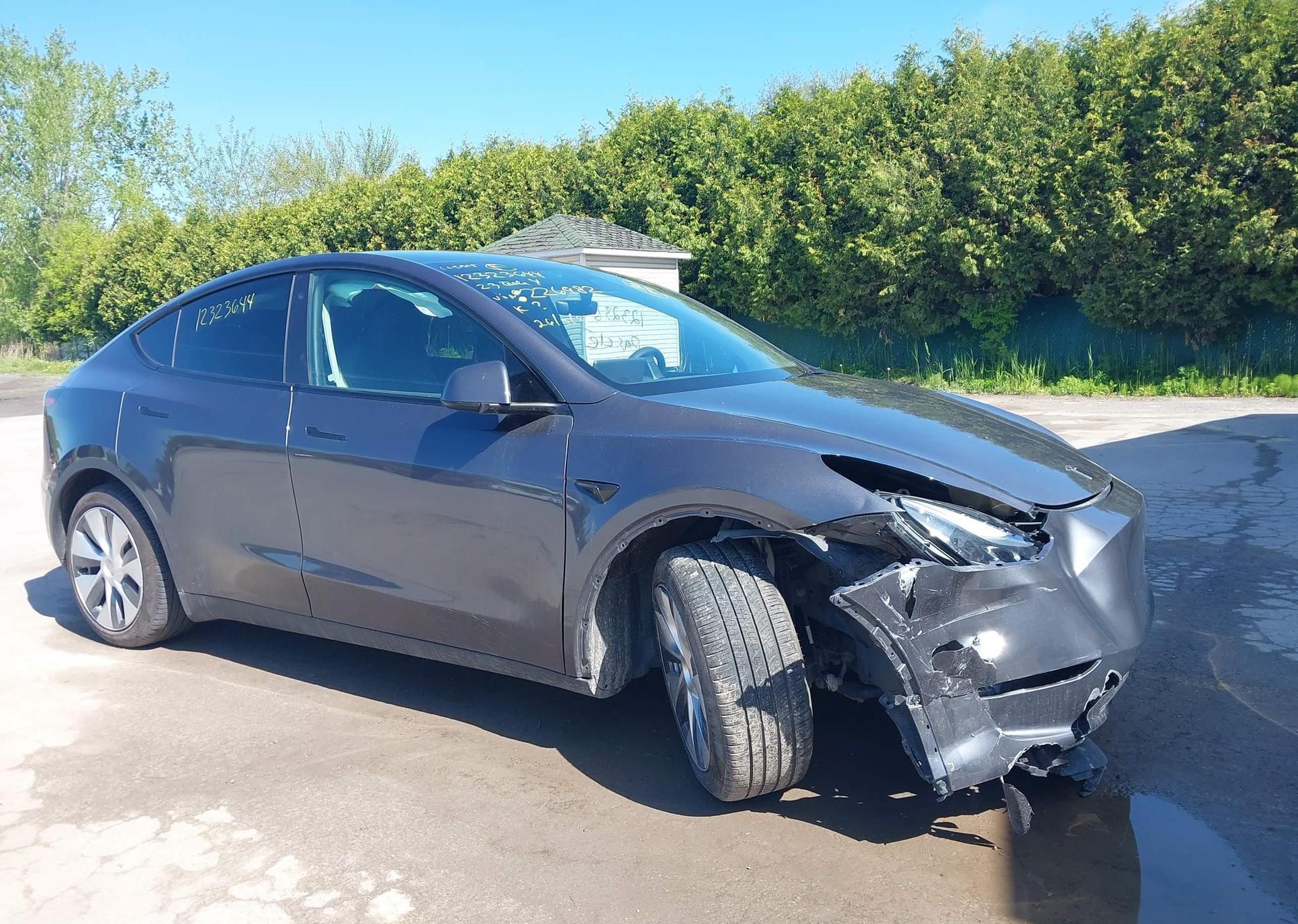 2023 TESLA MODEL Y RWD