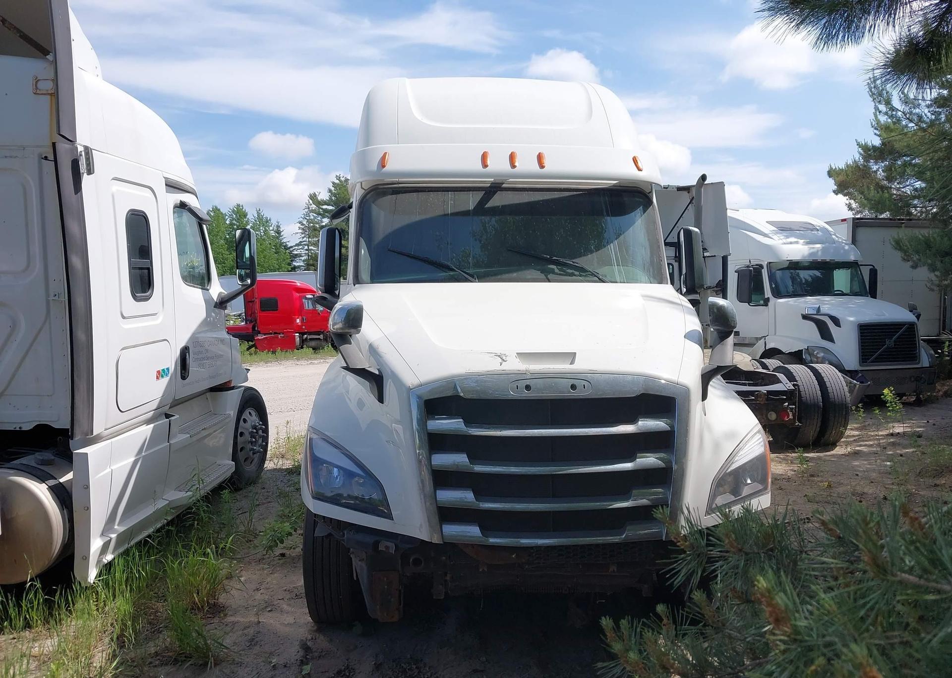 2019 FREIGHTLINER NEW CASCADIA 126