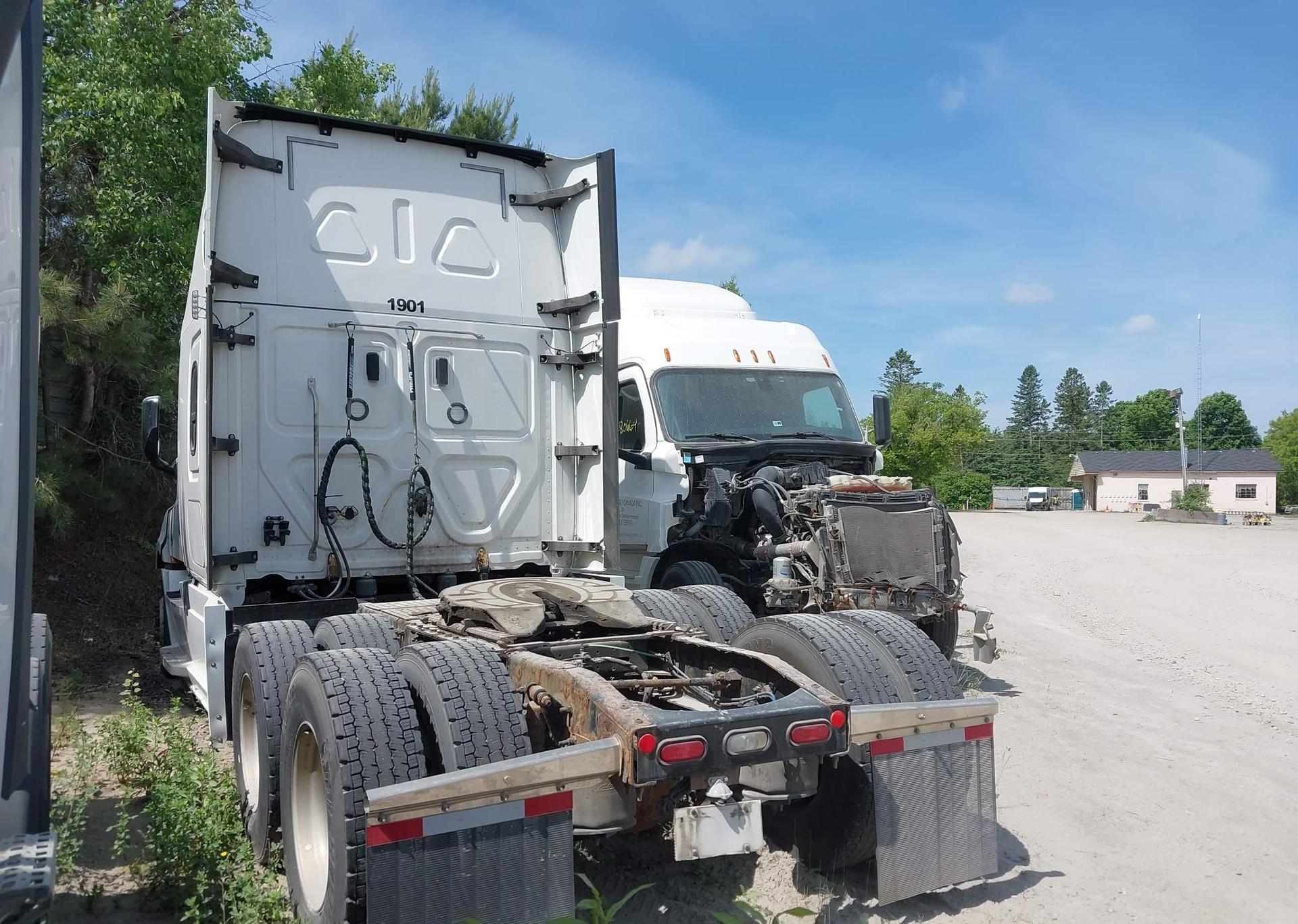 2019 FREIGHTLINER NEW CASCADIA 126