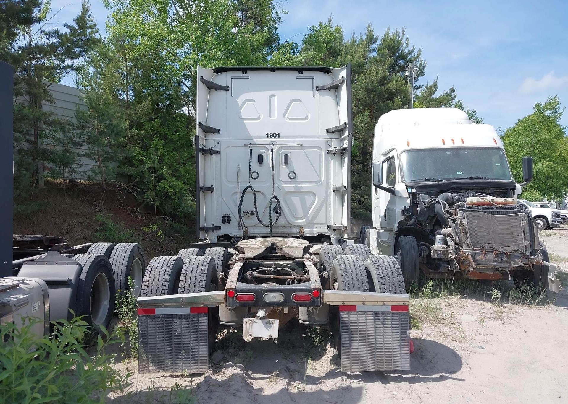 2019 FREIGHTLINER NEW CASCADIA 126