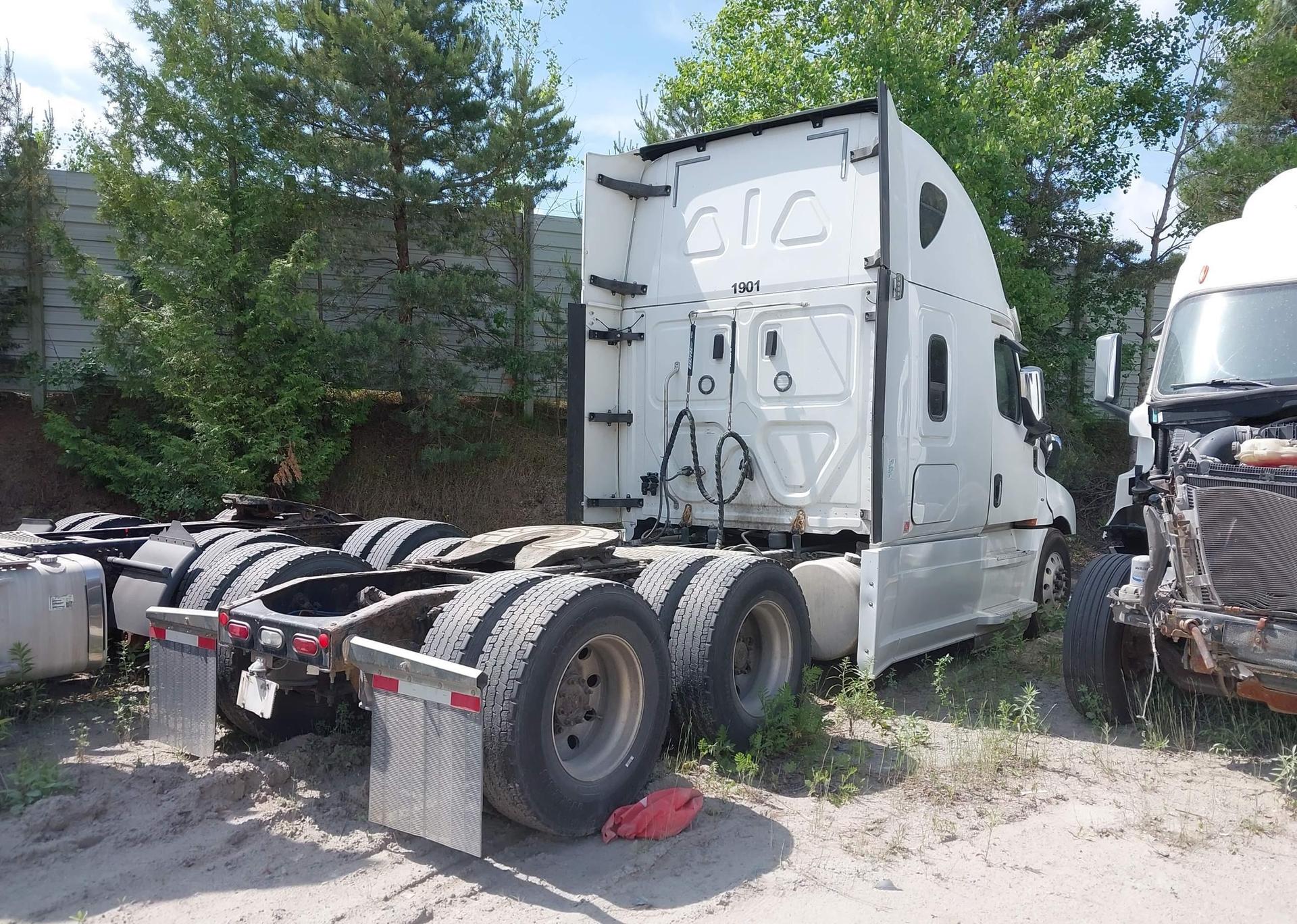 2019 FREIGHTLINER NEW CASCADIA 126