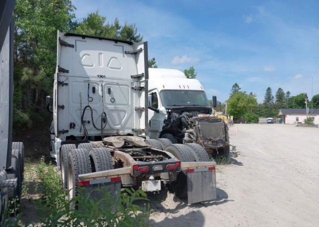 2019 FREIGHTLINER NEW CASCADIA 126
