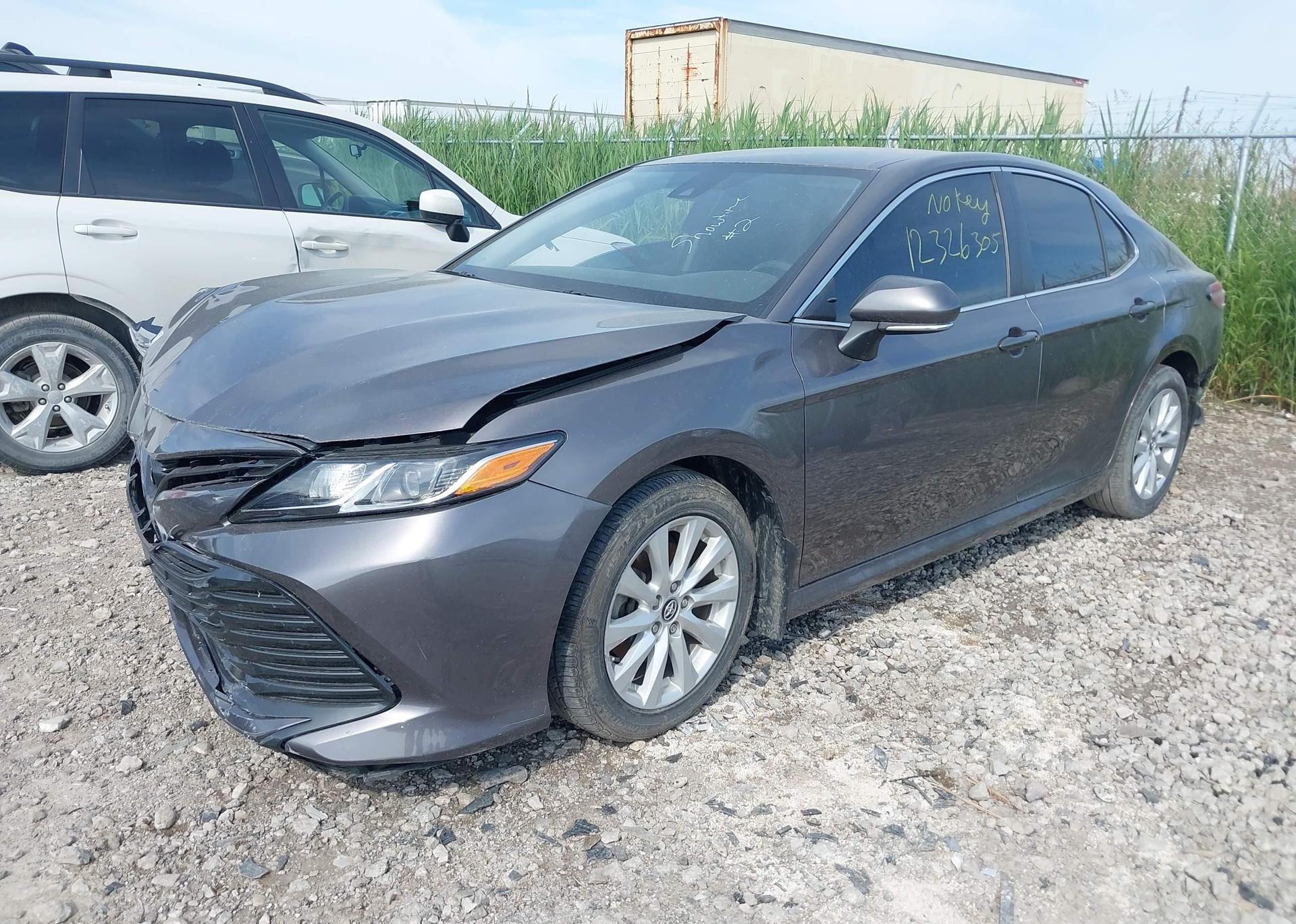 2019 TOYOTA CAMRY L