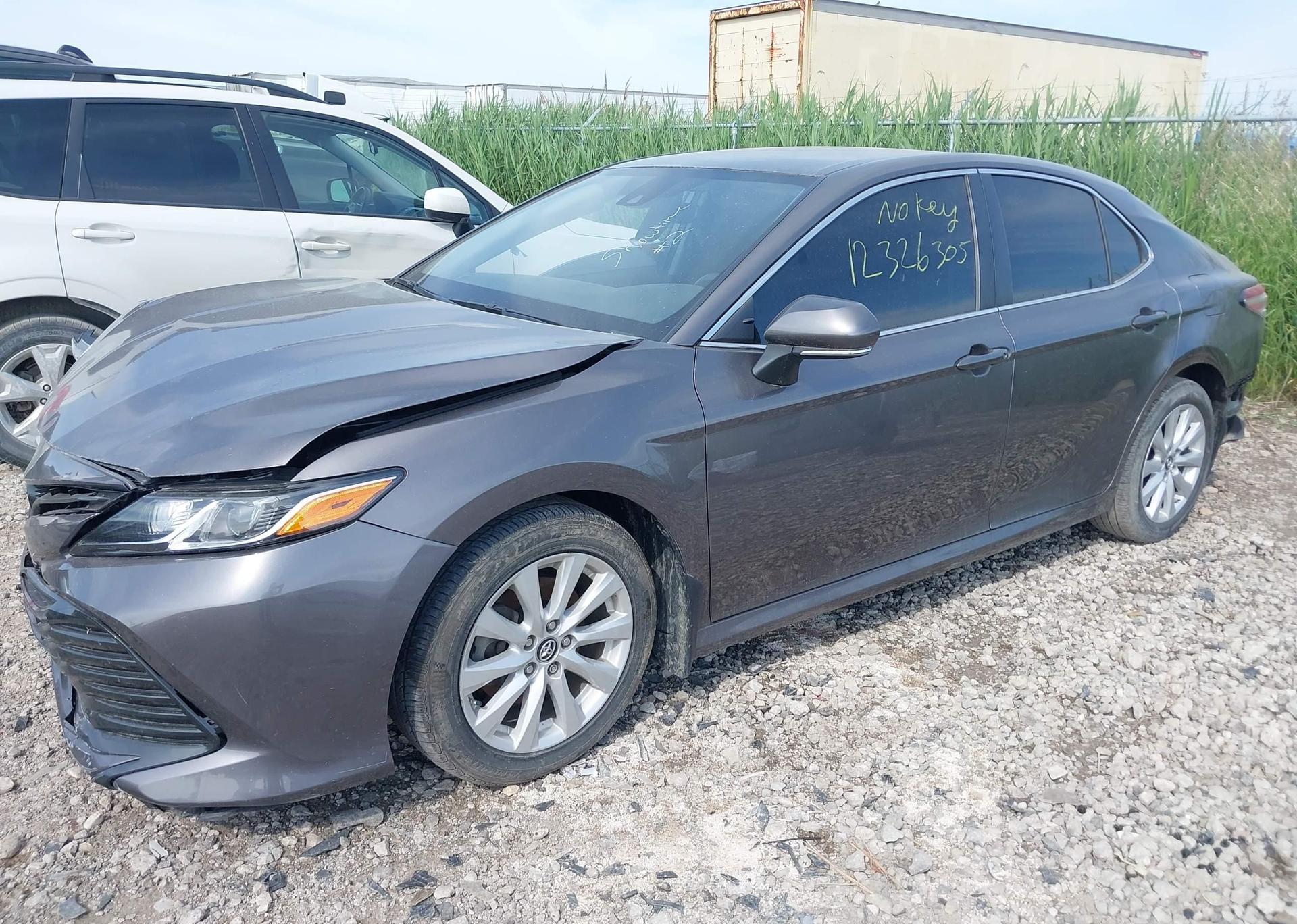 2019 TOYOTA CAMRY L