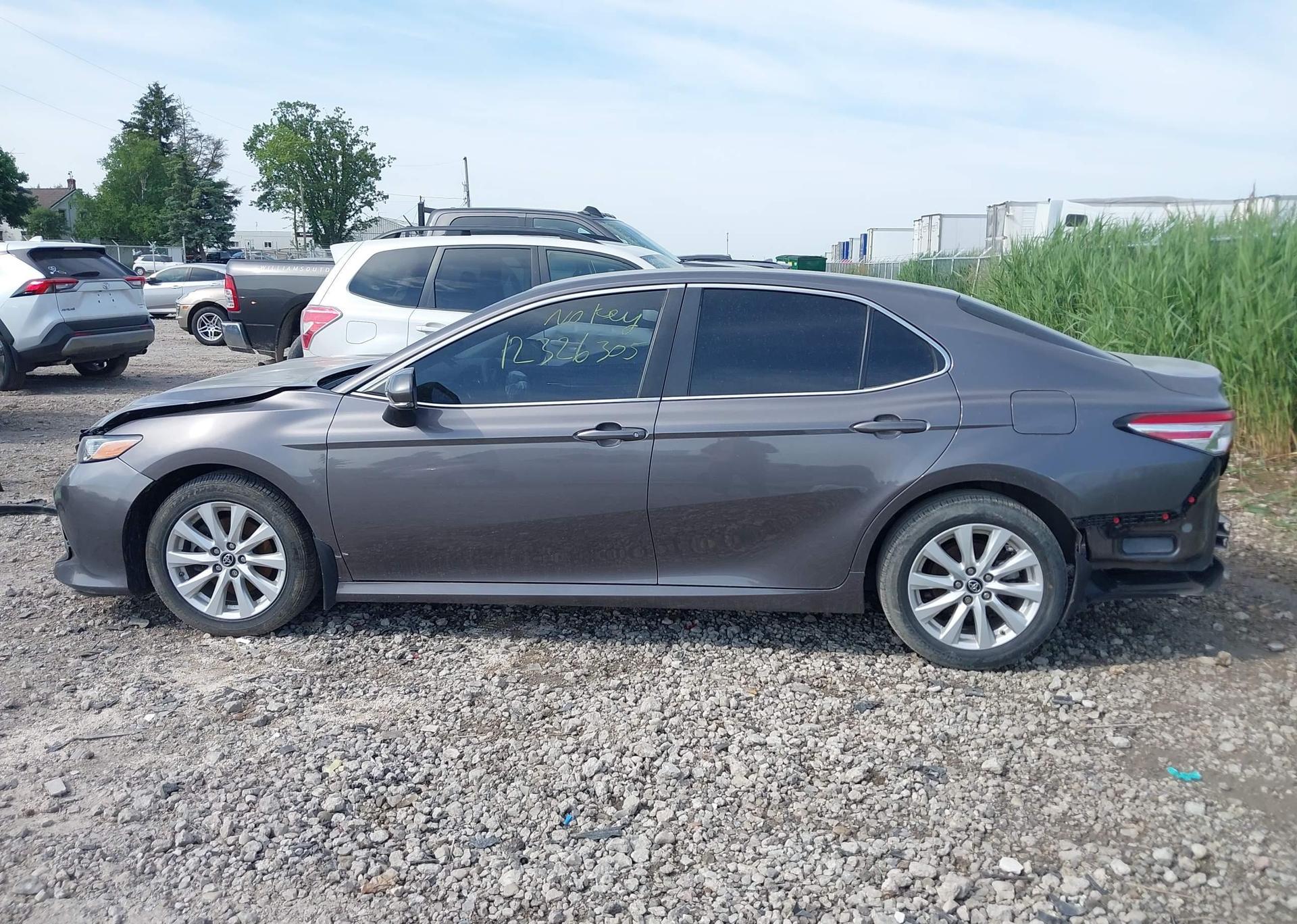 2019 TOYOTA CAMRY L